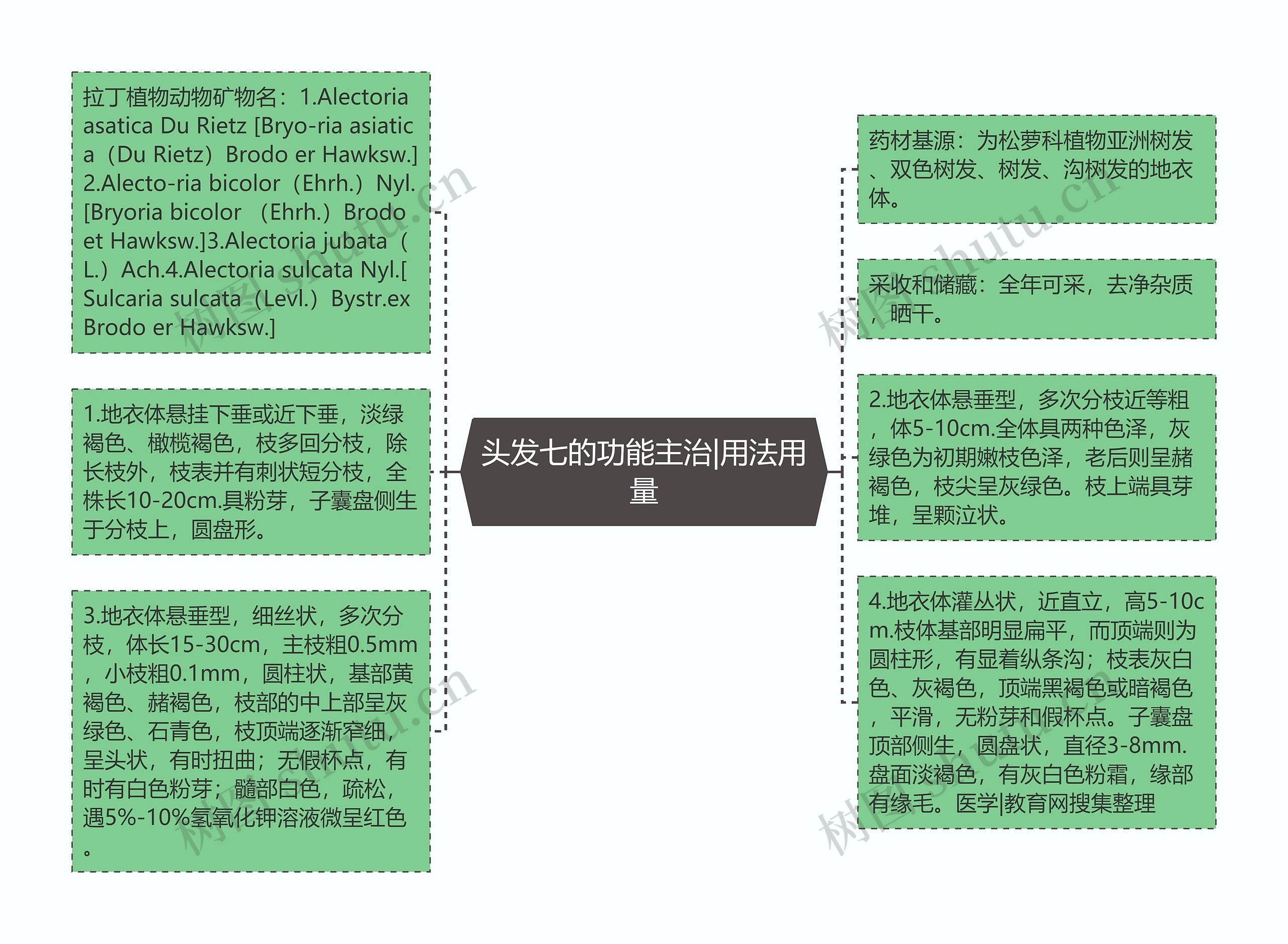 头发七的功能主治|用法用量思维导图