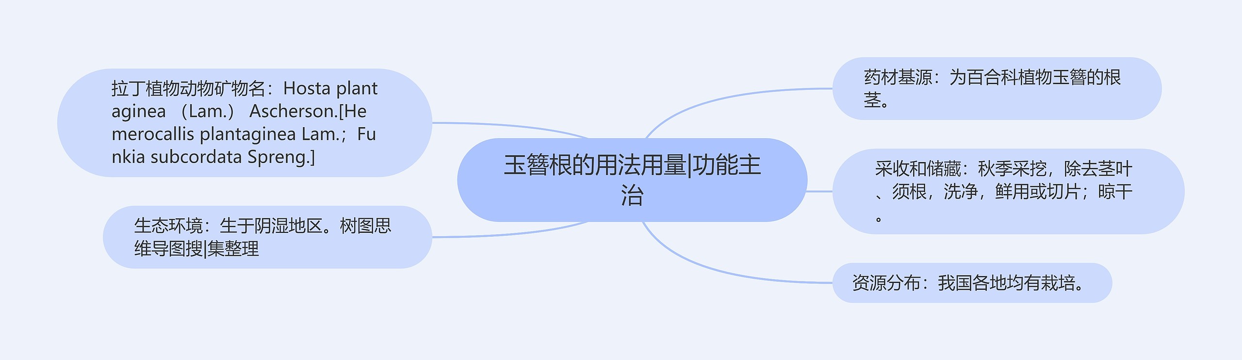 玉簪根的用法用量|功能主治思维导图