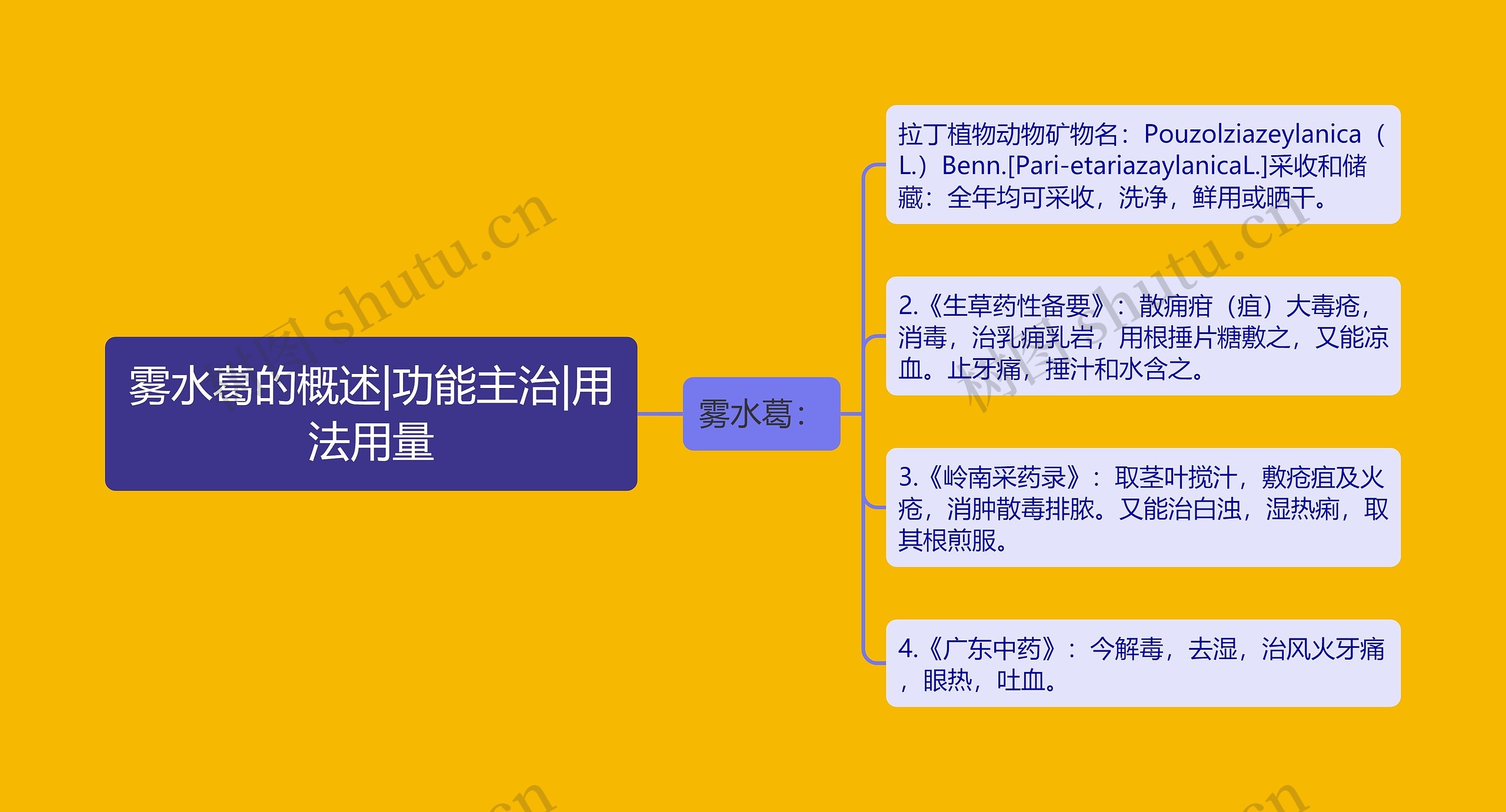雾水葛的概述|功能主治|用法用量 雾水葛的概述|功能主治|用法用量