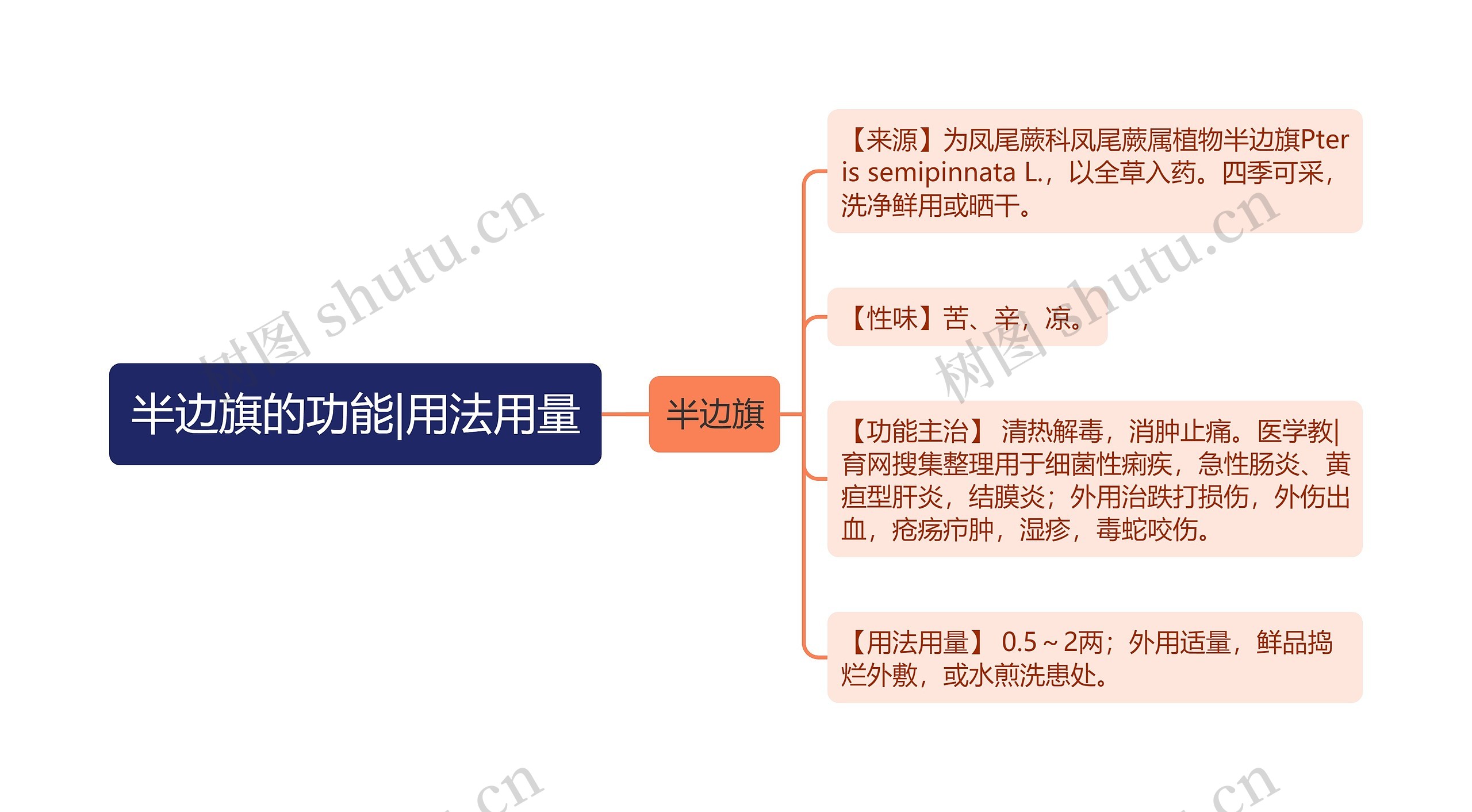 半边旗的功能|用法用量