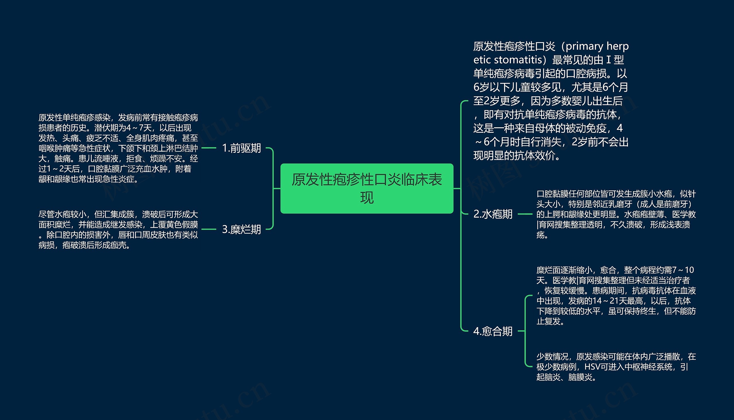 原发性疱疹性口炎临床表现思维导图