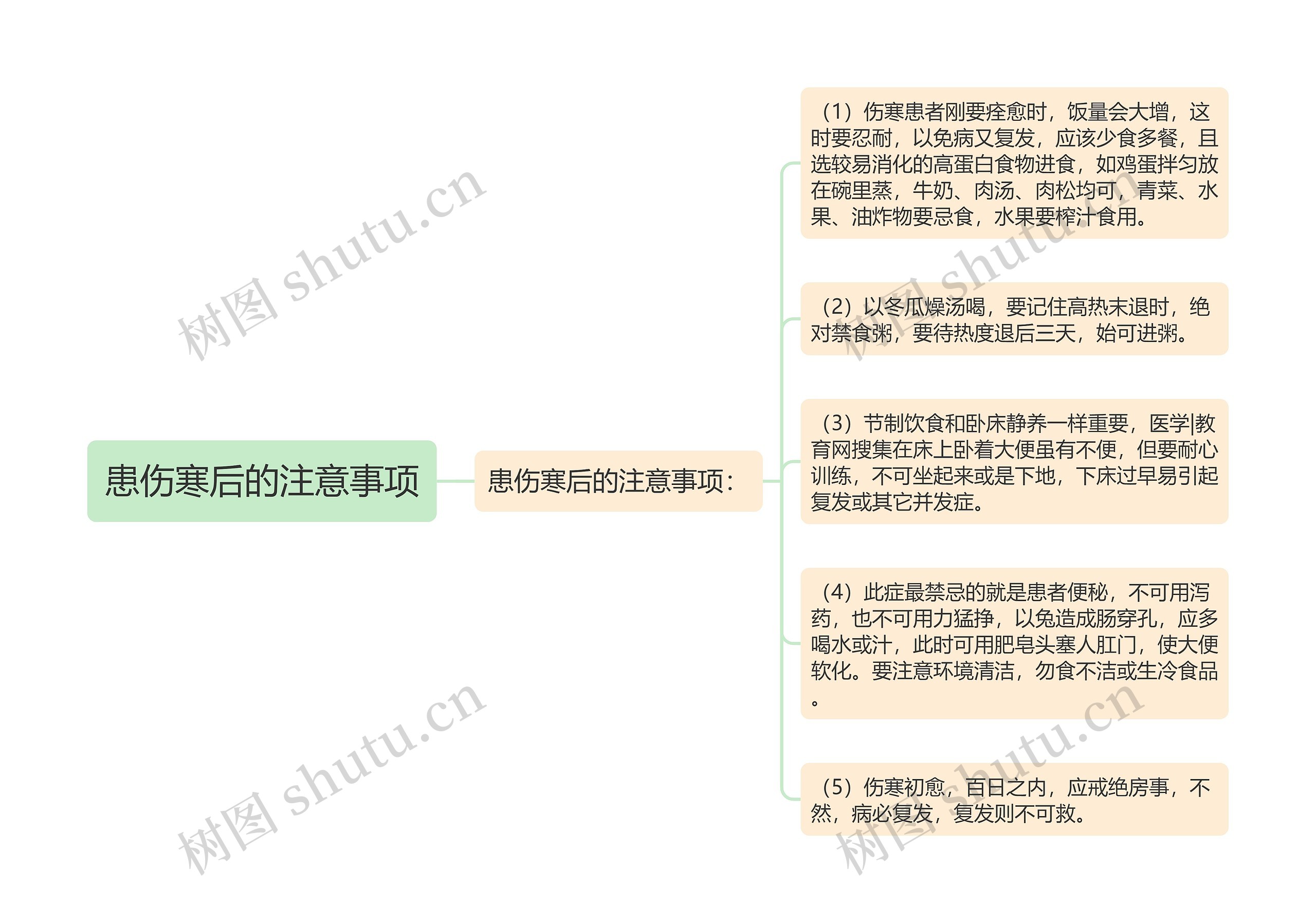 患伤寒后的注意事项思维导图