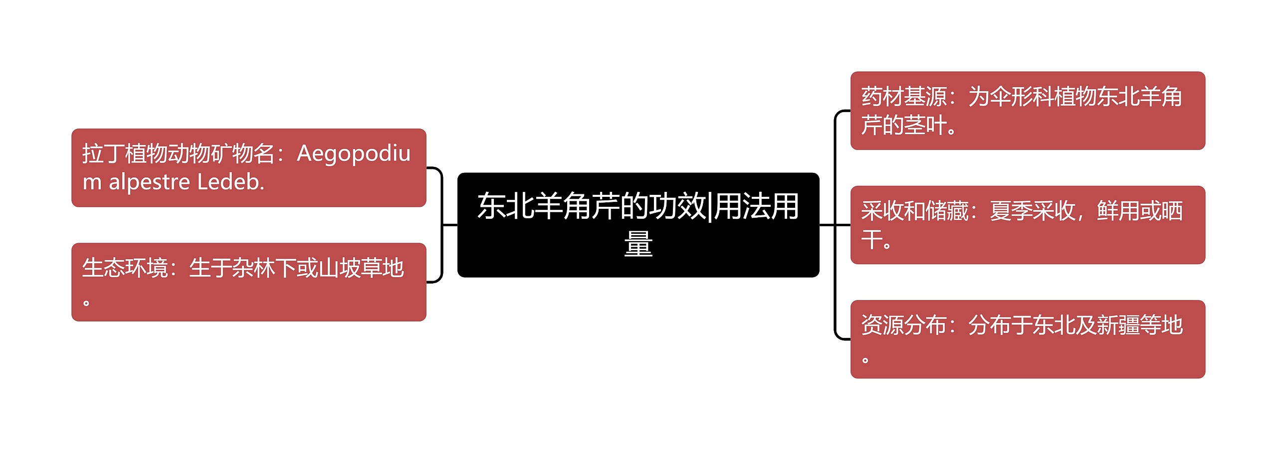 东北羊角芹的功效|用法用量思维导图