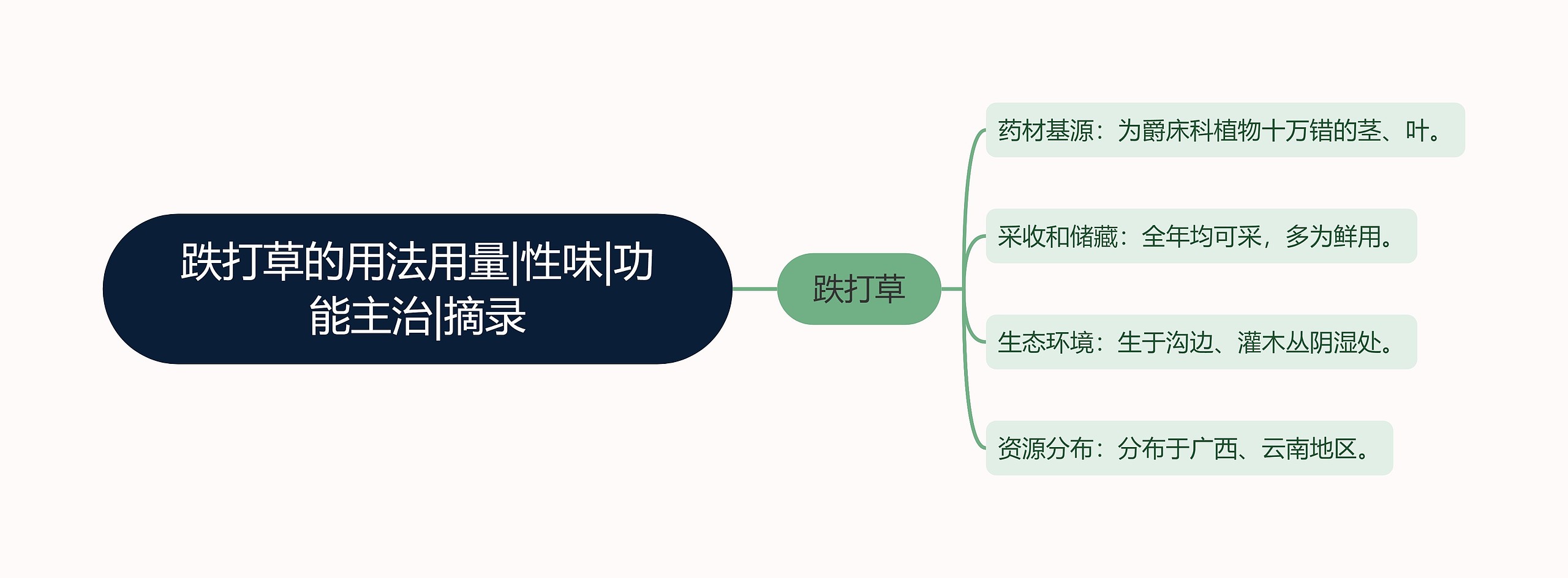 跌打草的用法用量|性味|功能主治|摘录思维导图