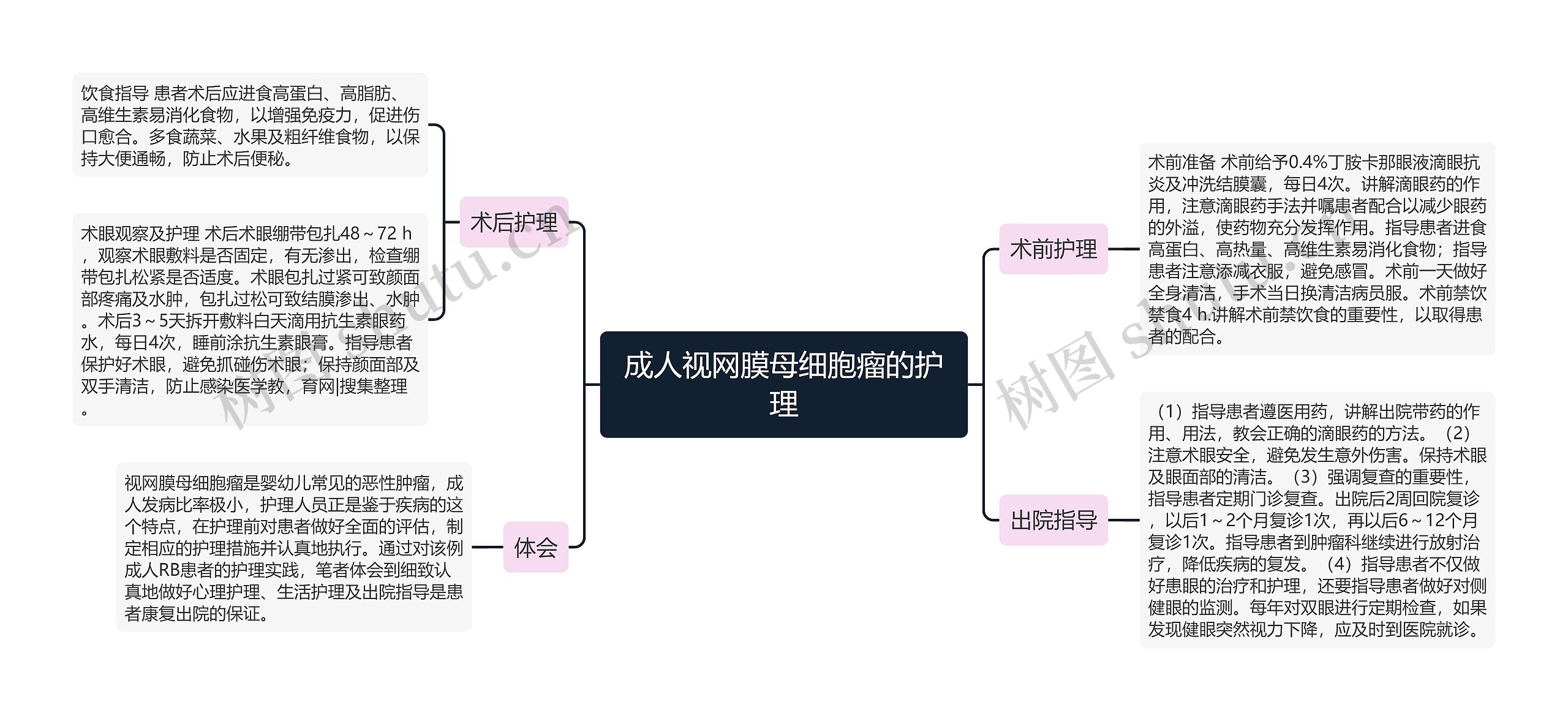 成人视网膜母细胞瘤的护理思维导图