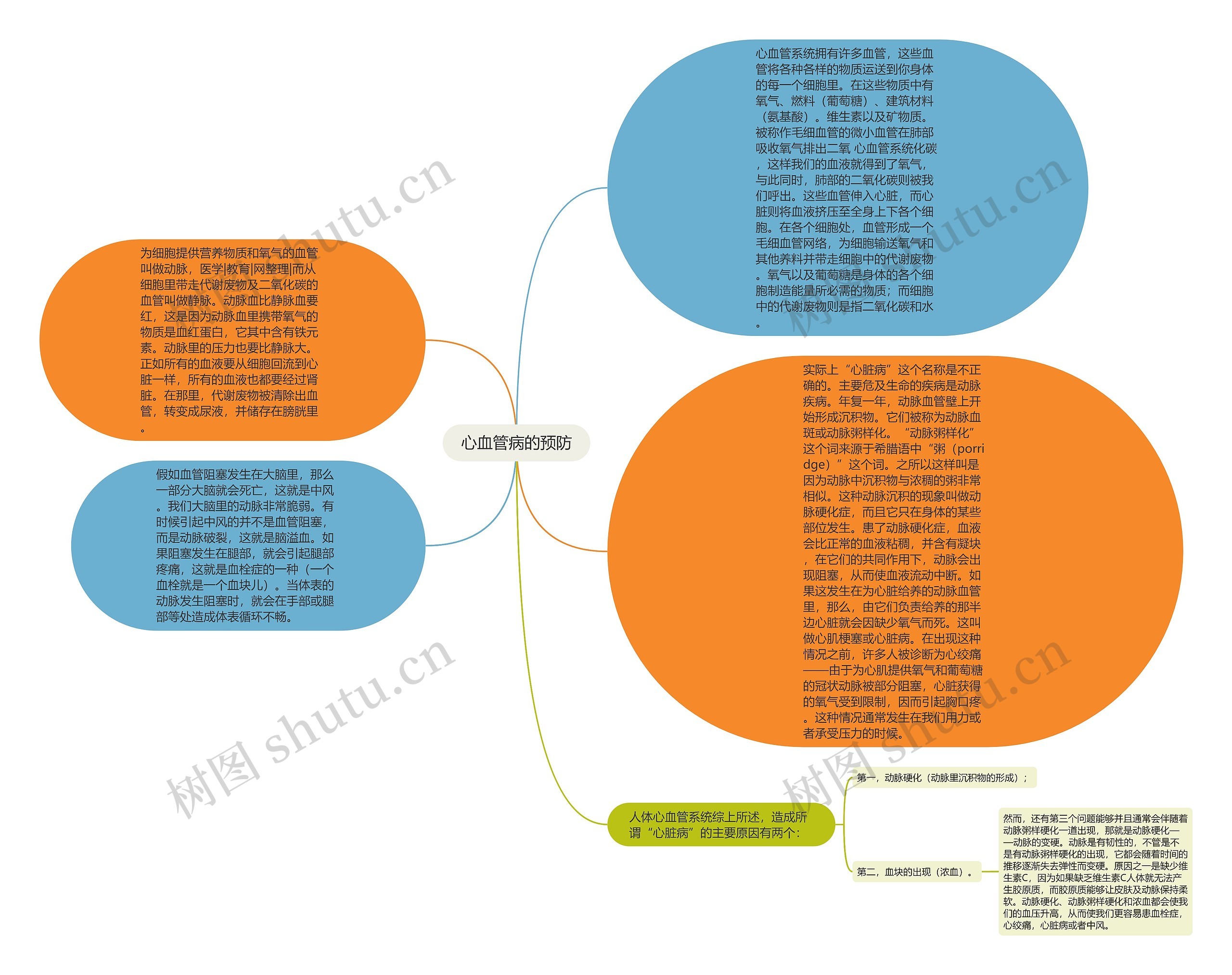 心血管病的预防思维导图