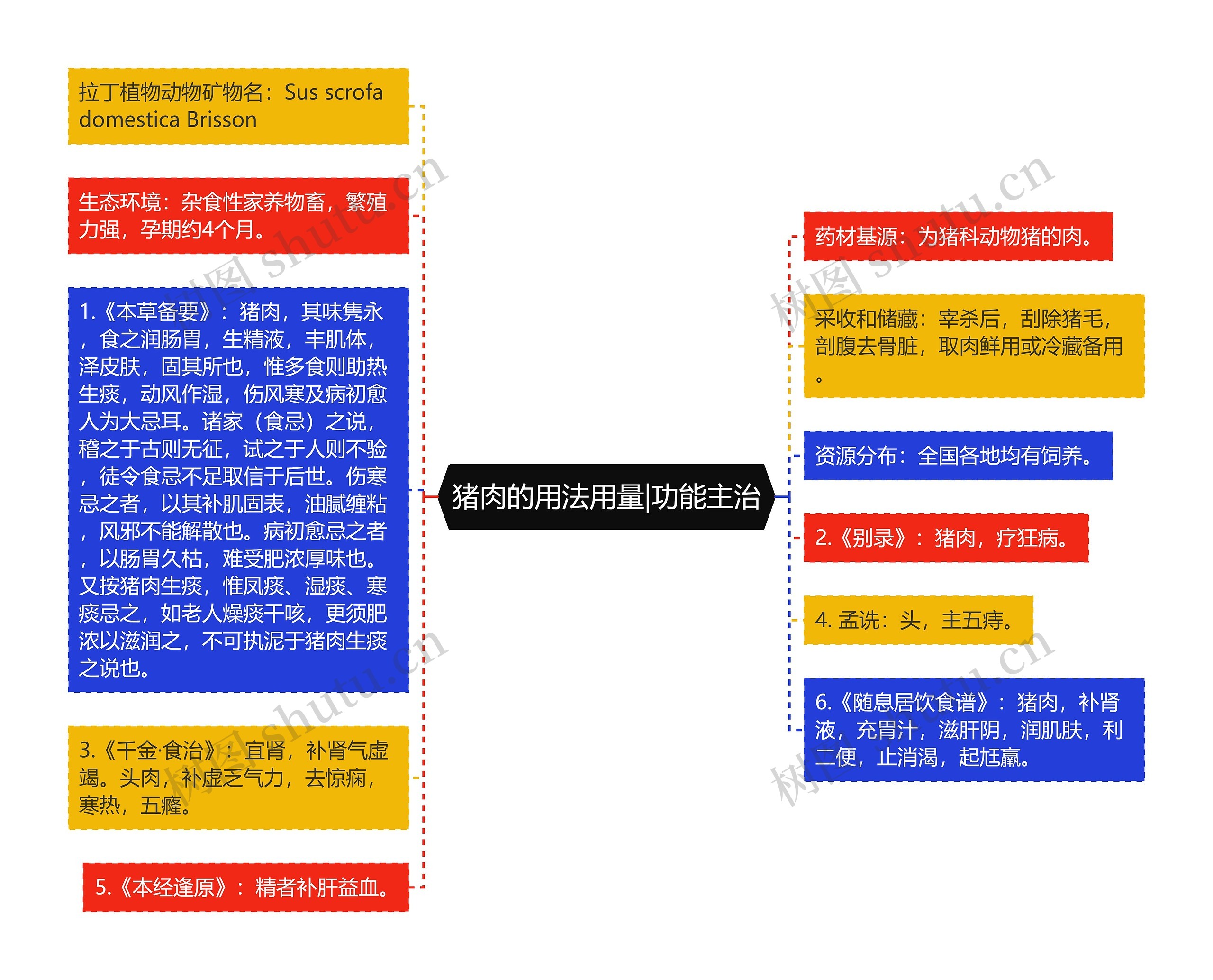 猪肉的用法用量|功能主治思维导图