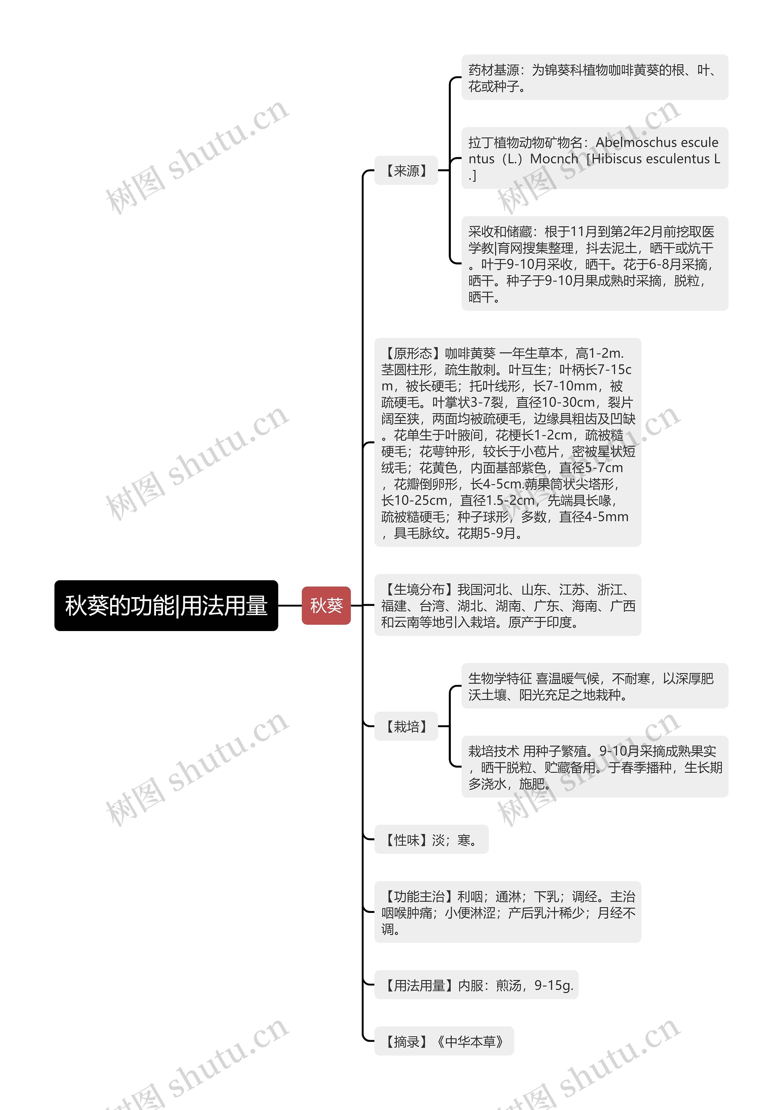 秋葵的功能|用法用量思维导图