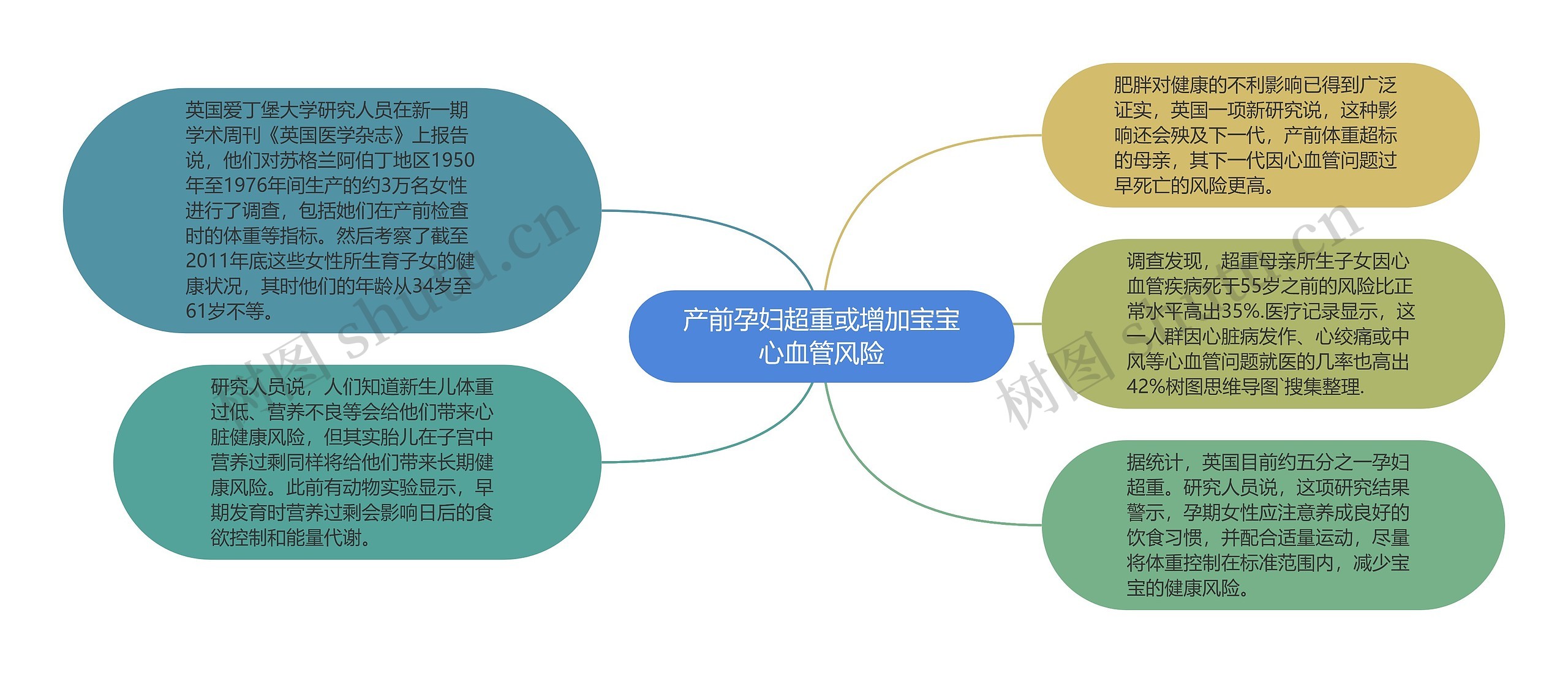 产前孕妇超重或增加宝宝心血管风险思维导图