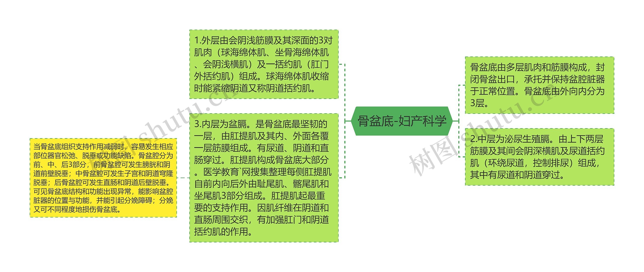 骨盆底-妇产科学 骨盆底-妇产科学