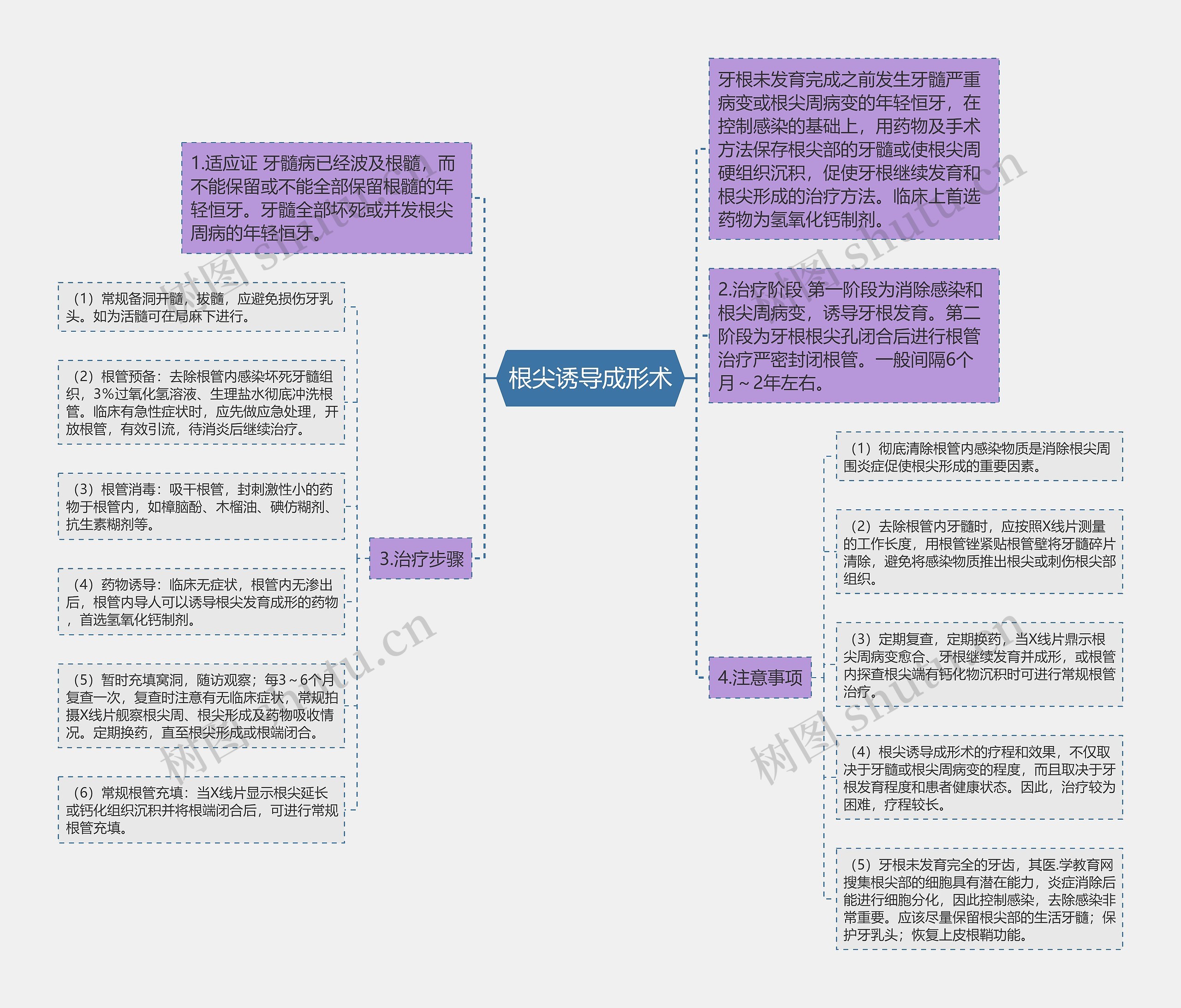 根尖诱导成形术思维导图