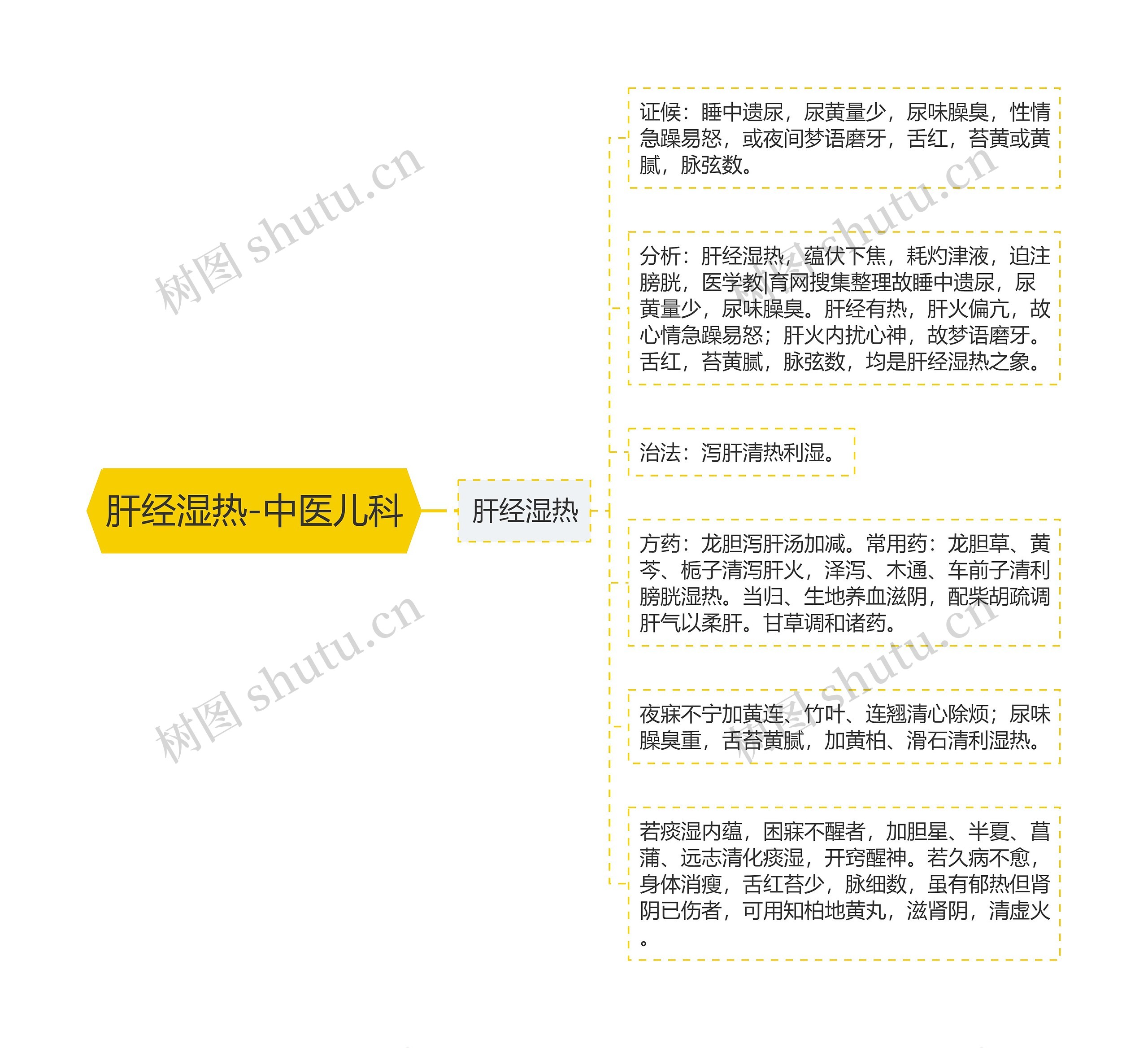 肝经湿热-中医儿科 肝经湿热-中医儿科