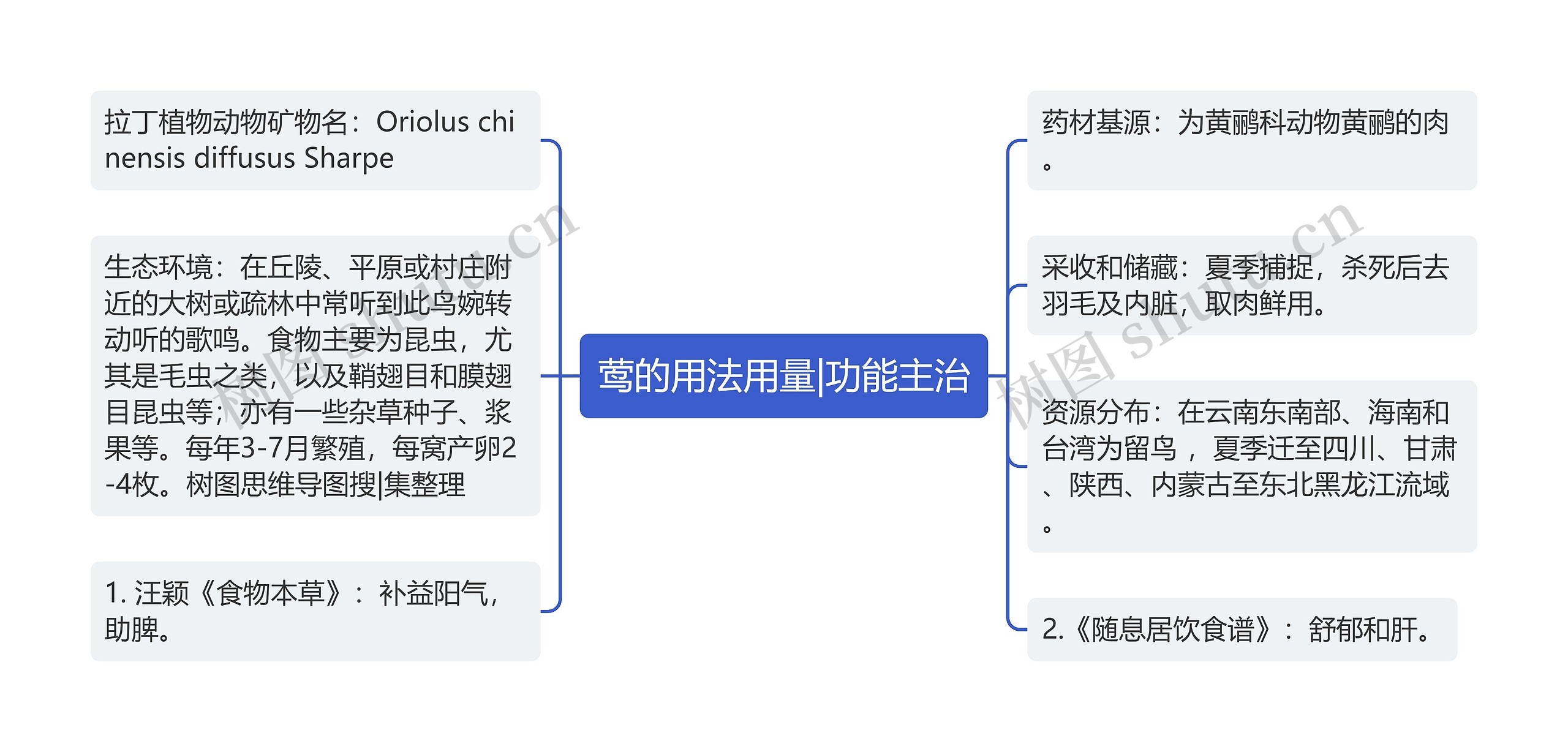 莺的用法用量|功能主治思维导图