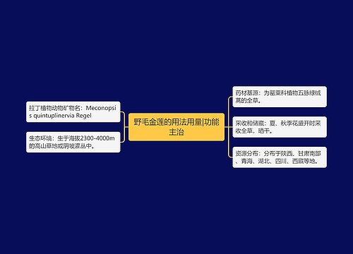 野毛金莲的用法用量|功能主治