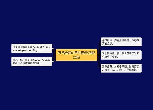 野毛金莲的用法用量|功能主治