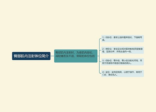 臀部肌内注射体位简介