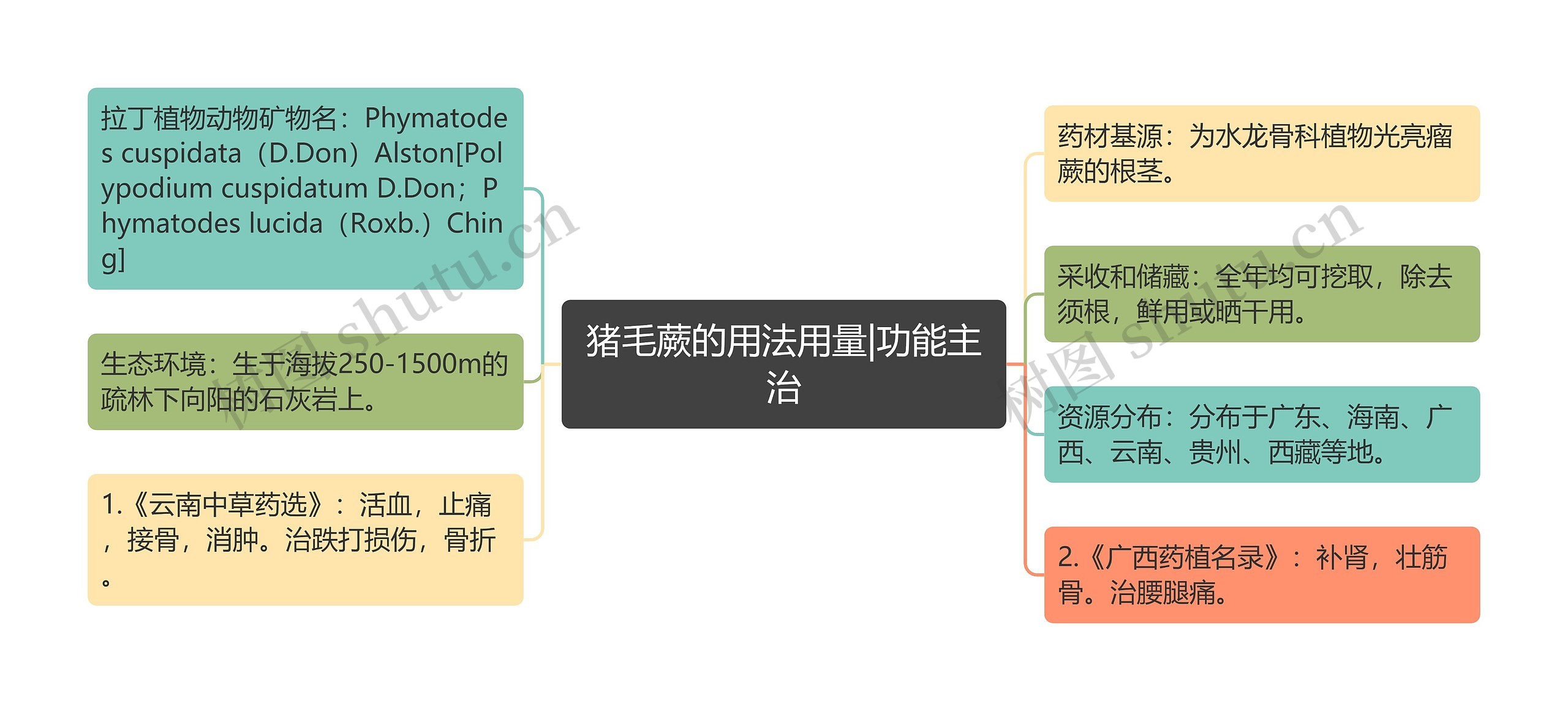 猪毛蕨的用法用量|功能主治思维导图