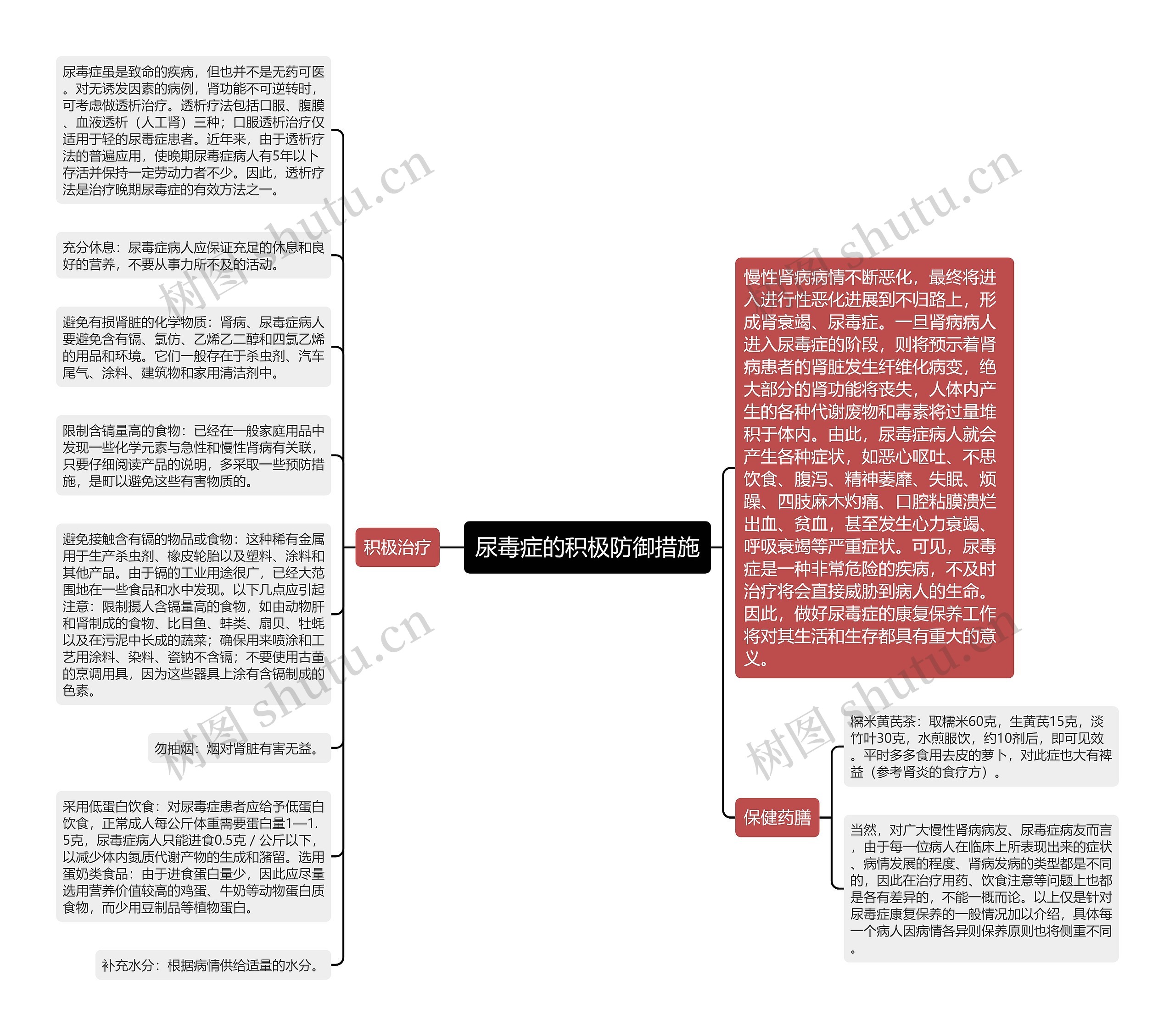 尿毒症的积极防御措施思维导图