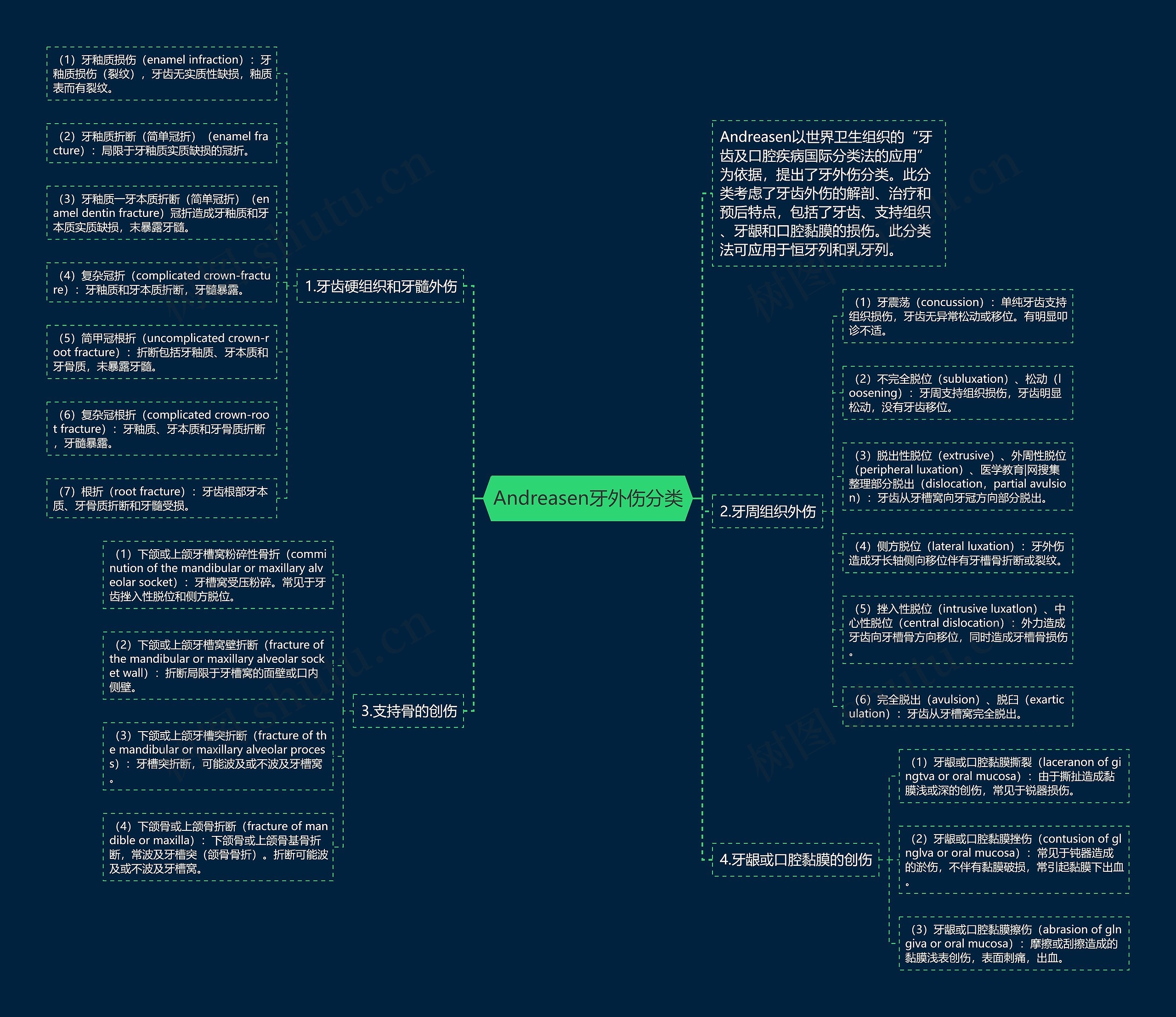 Andreasen牙外伤分类思维导图