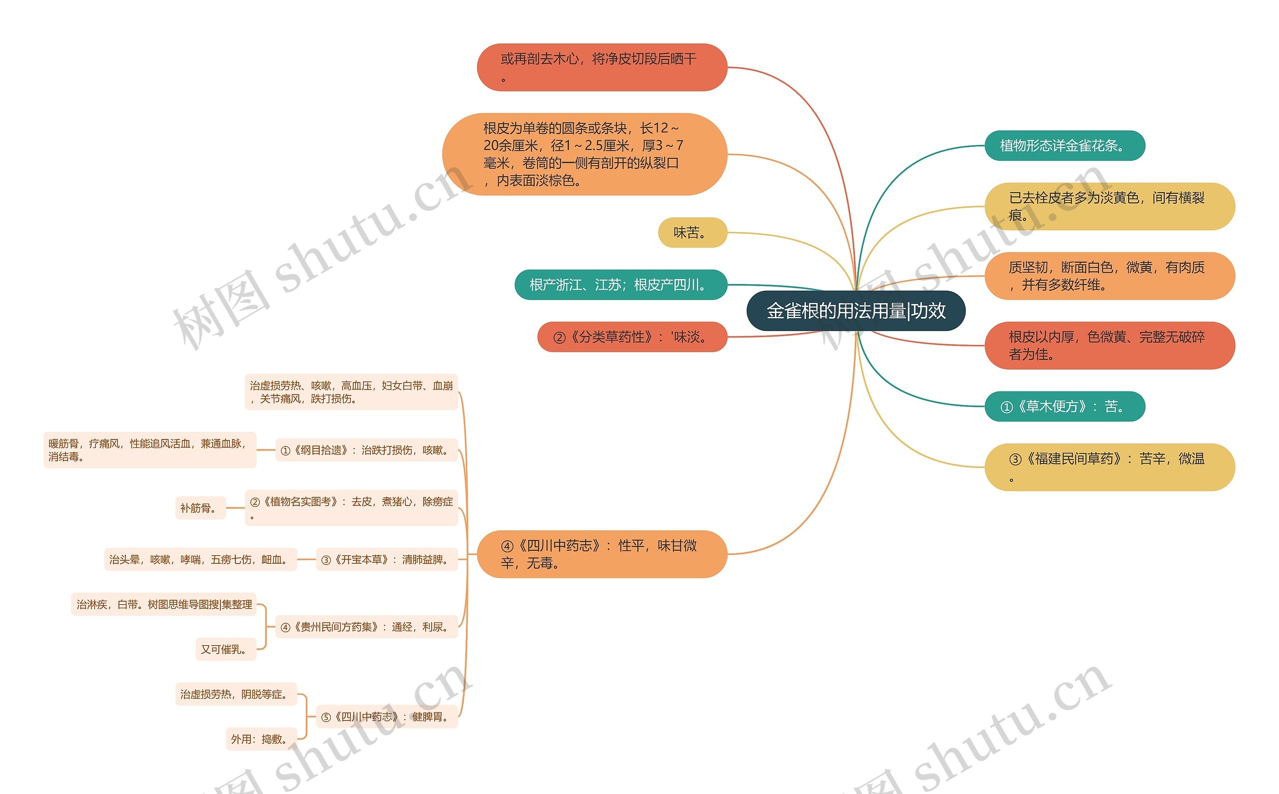 金雀根的用法用量|功效思维导图