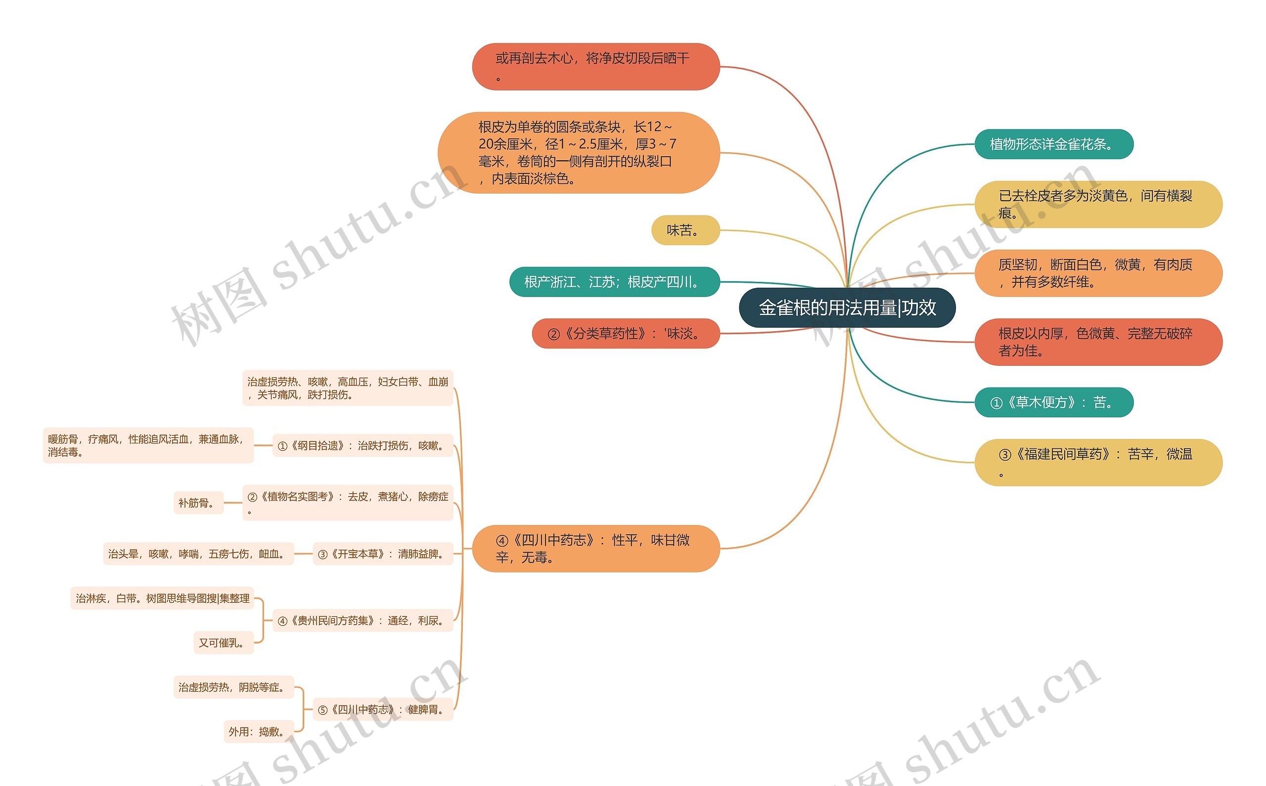 金雀根的用法用量|功效 金雀根的用法用量|功效