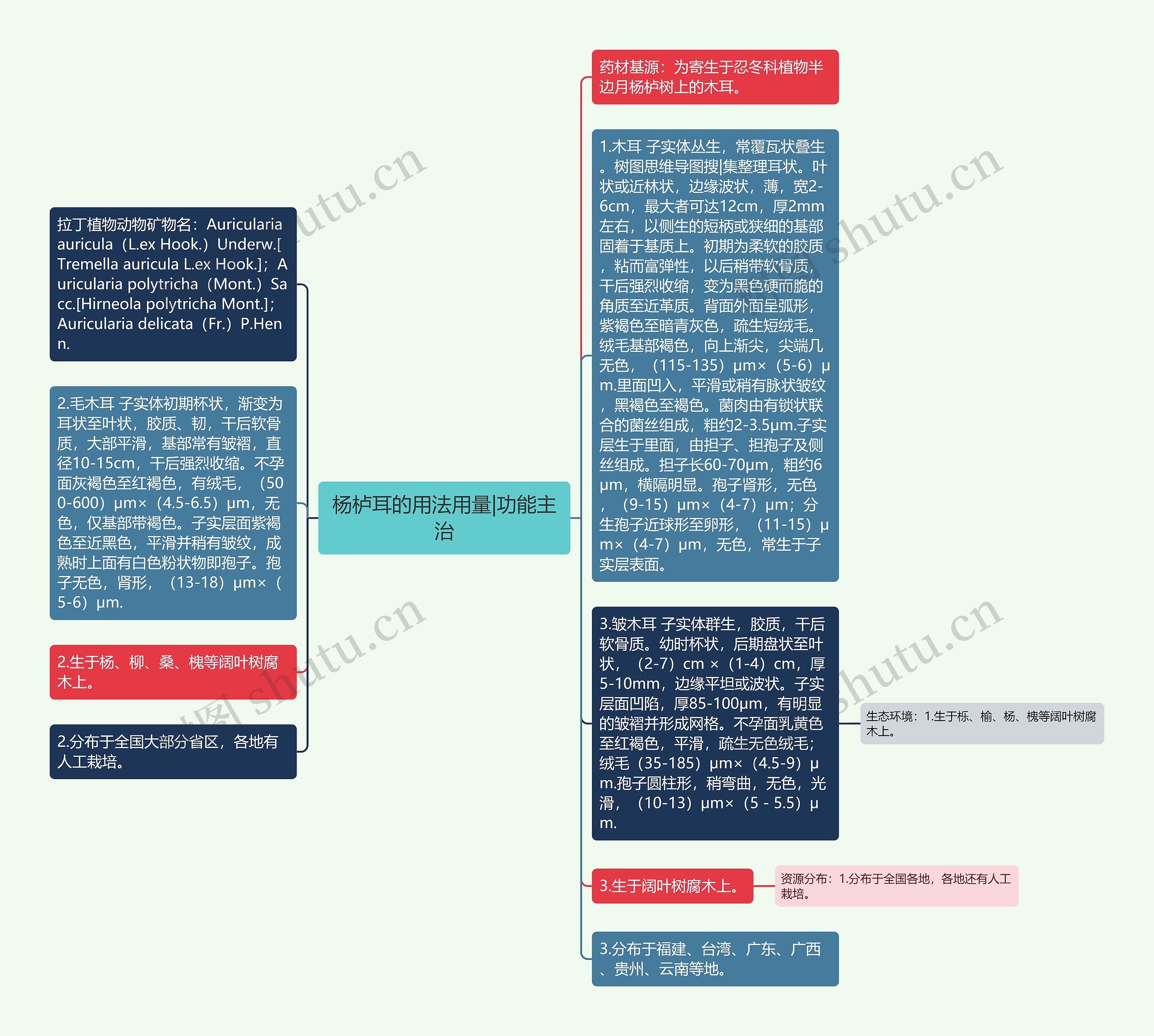 杨栌耳的用法用量|功能主治思维导图