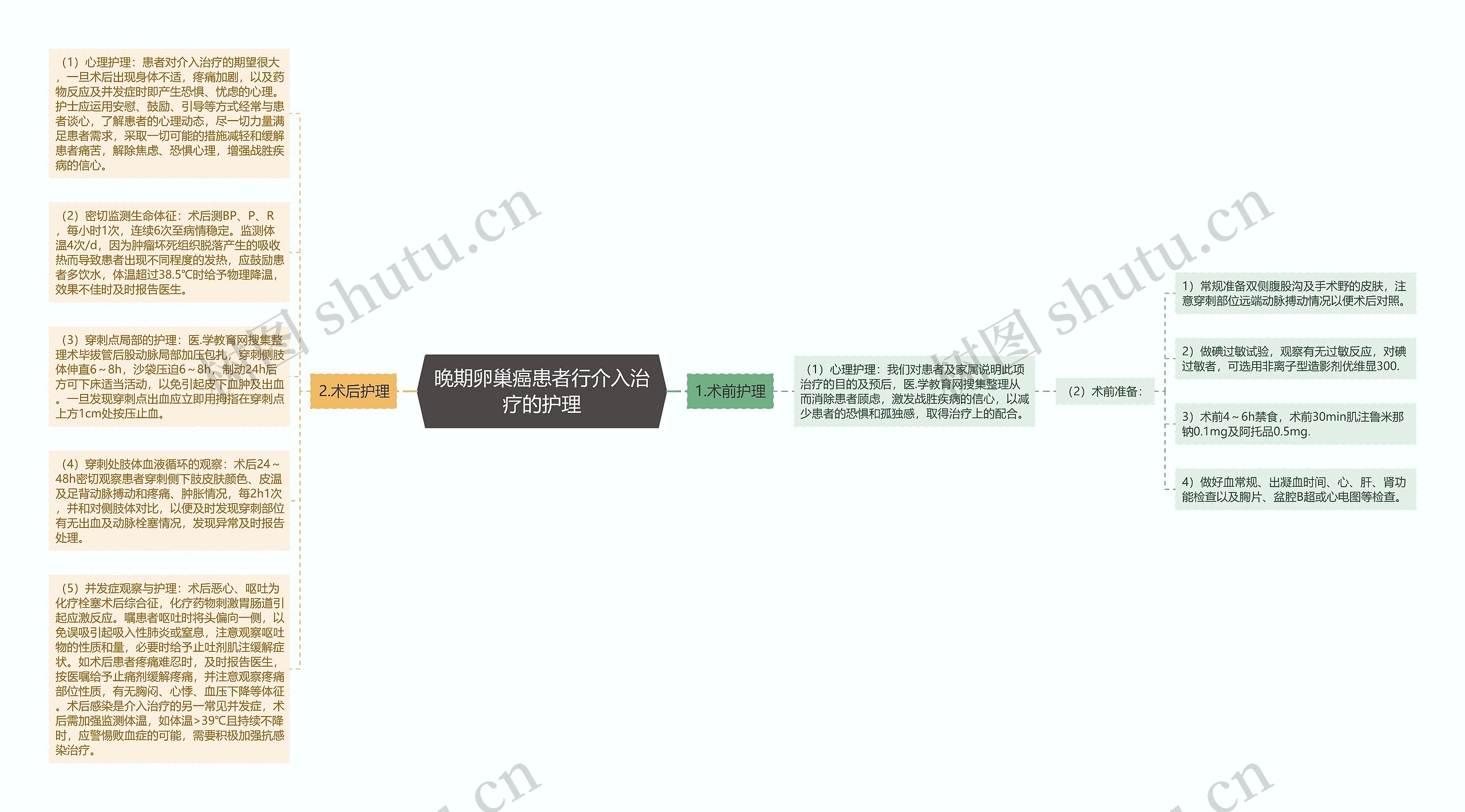 晚期卵巢癌患者行介入治疗的护理思维导图