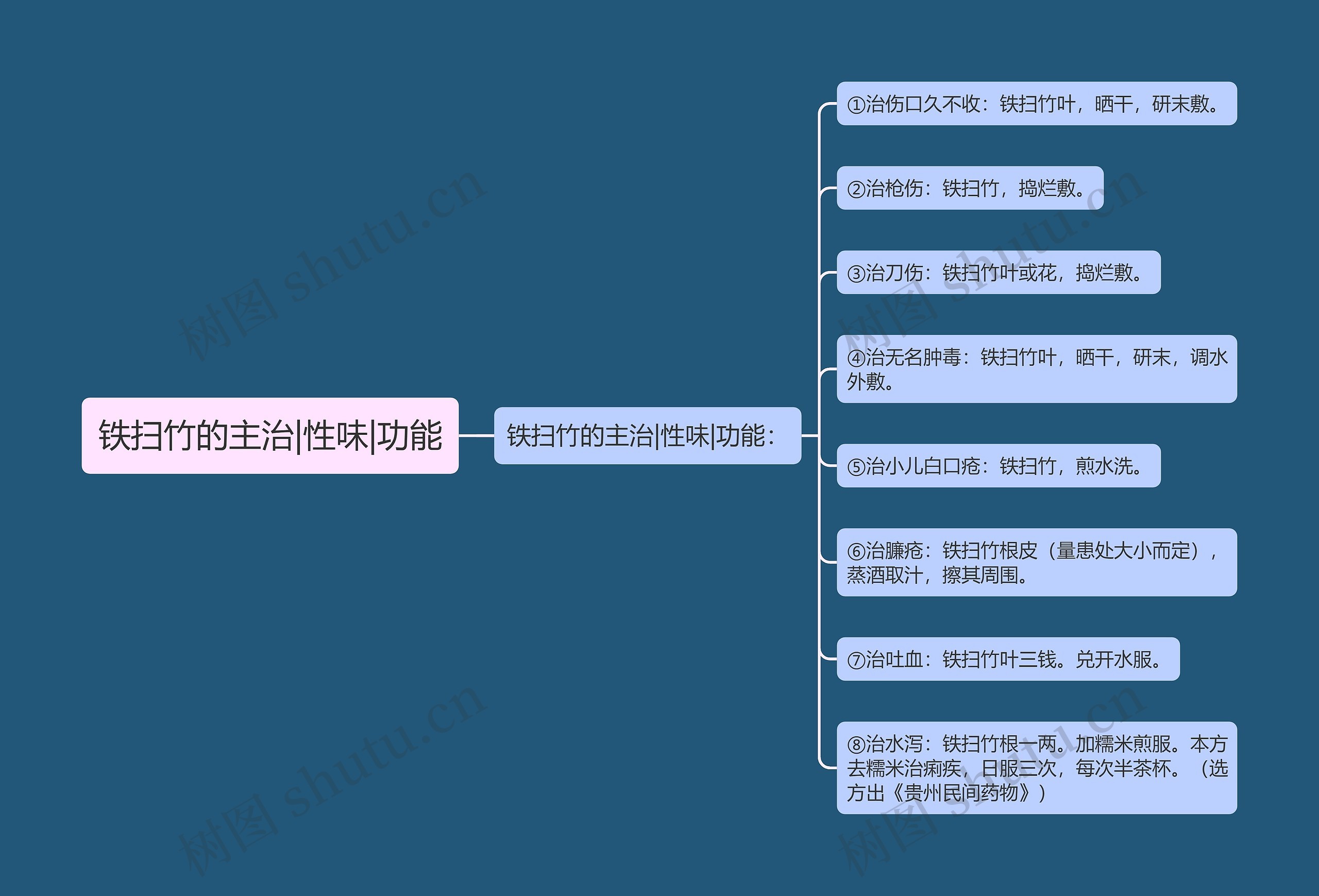 铁扫竹的主治|性味|功能思维导图