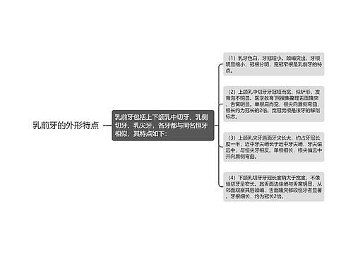 乳前牙的外形特点