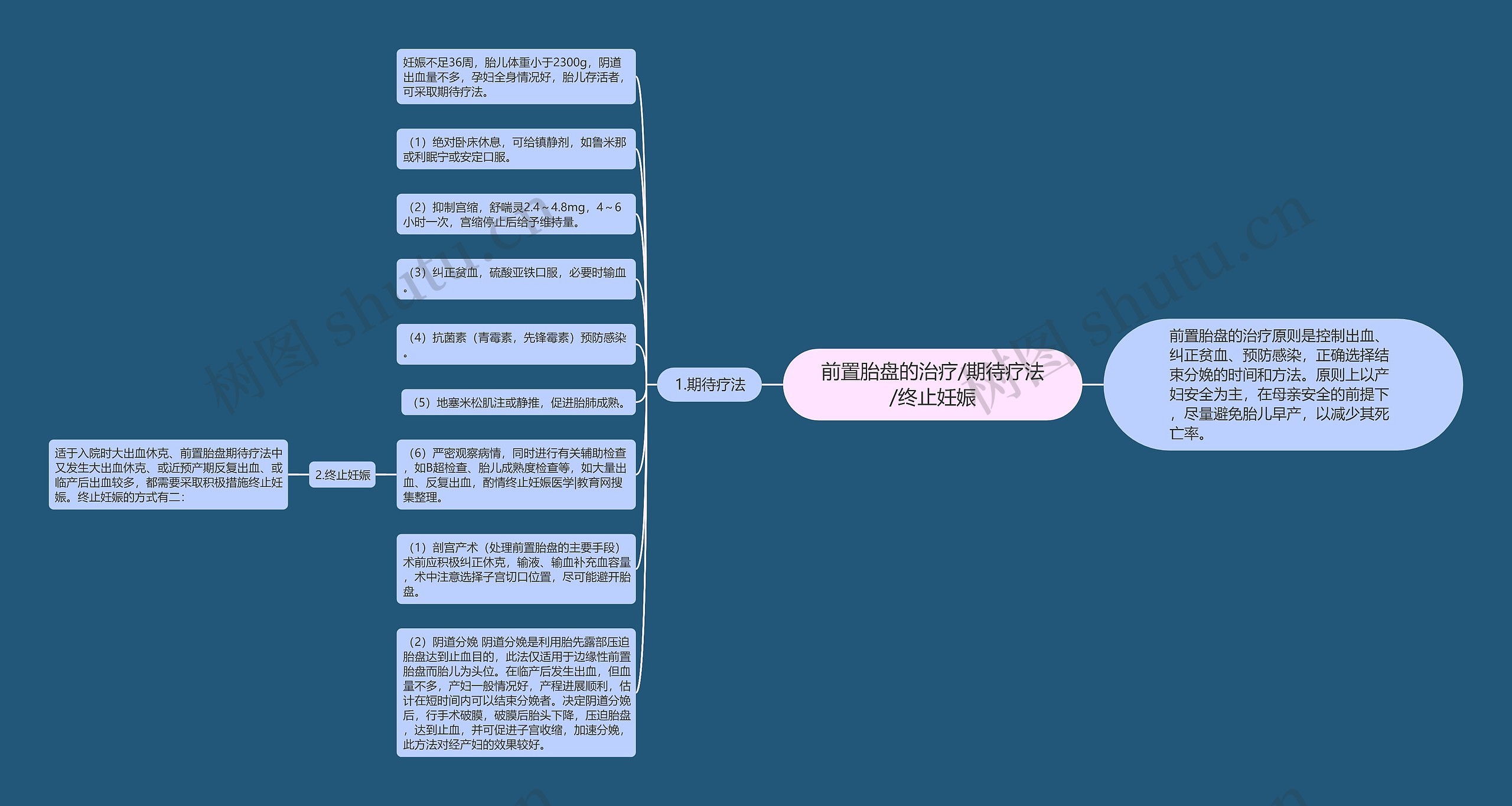 前置胎盘的治疗/期待疗法/终止妊娠思维导图