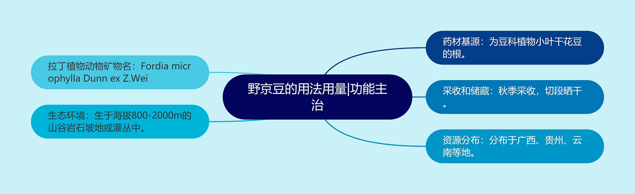 野京豆的用法用量|功能主治 野京豆的用法用量|功能主治