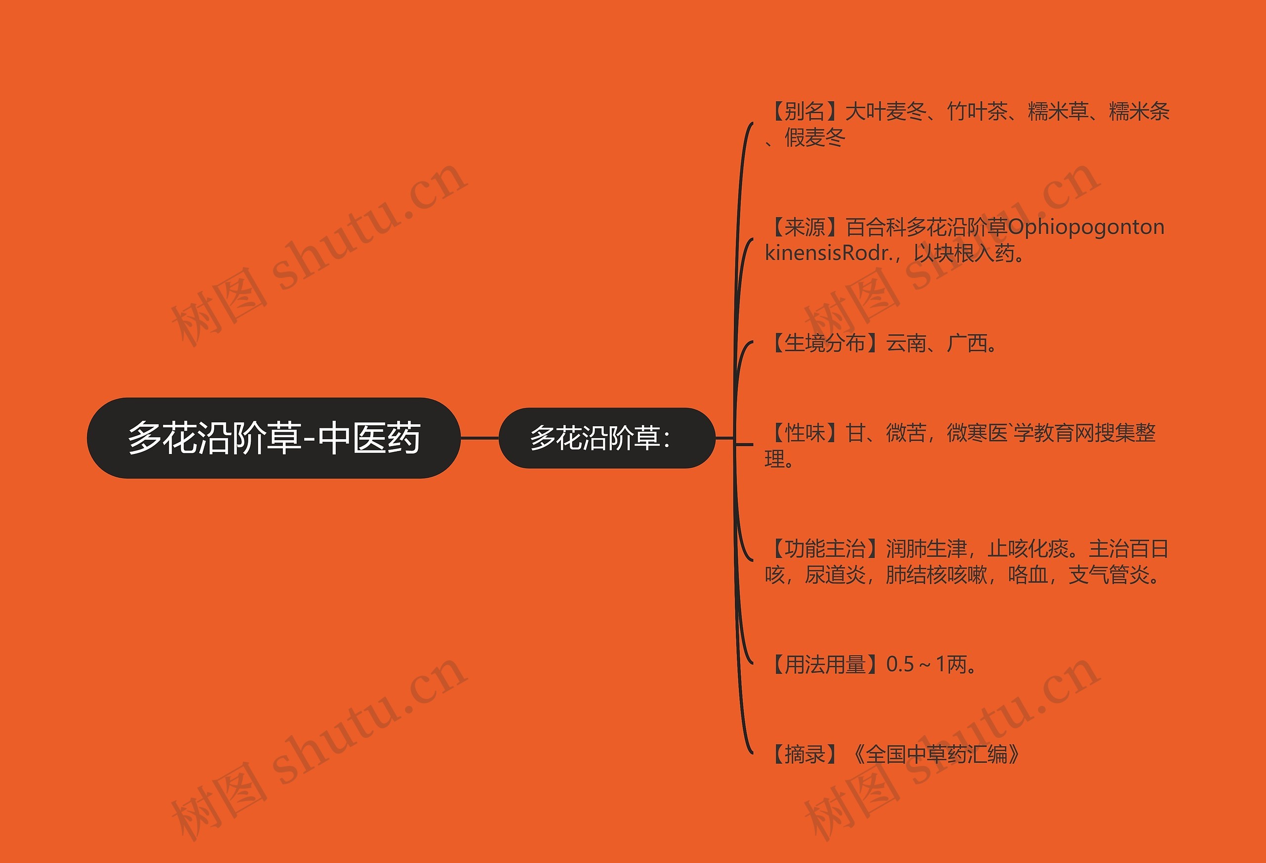 多花沿阶草-中医药思维导图