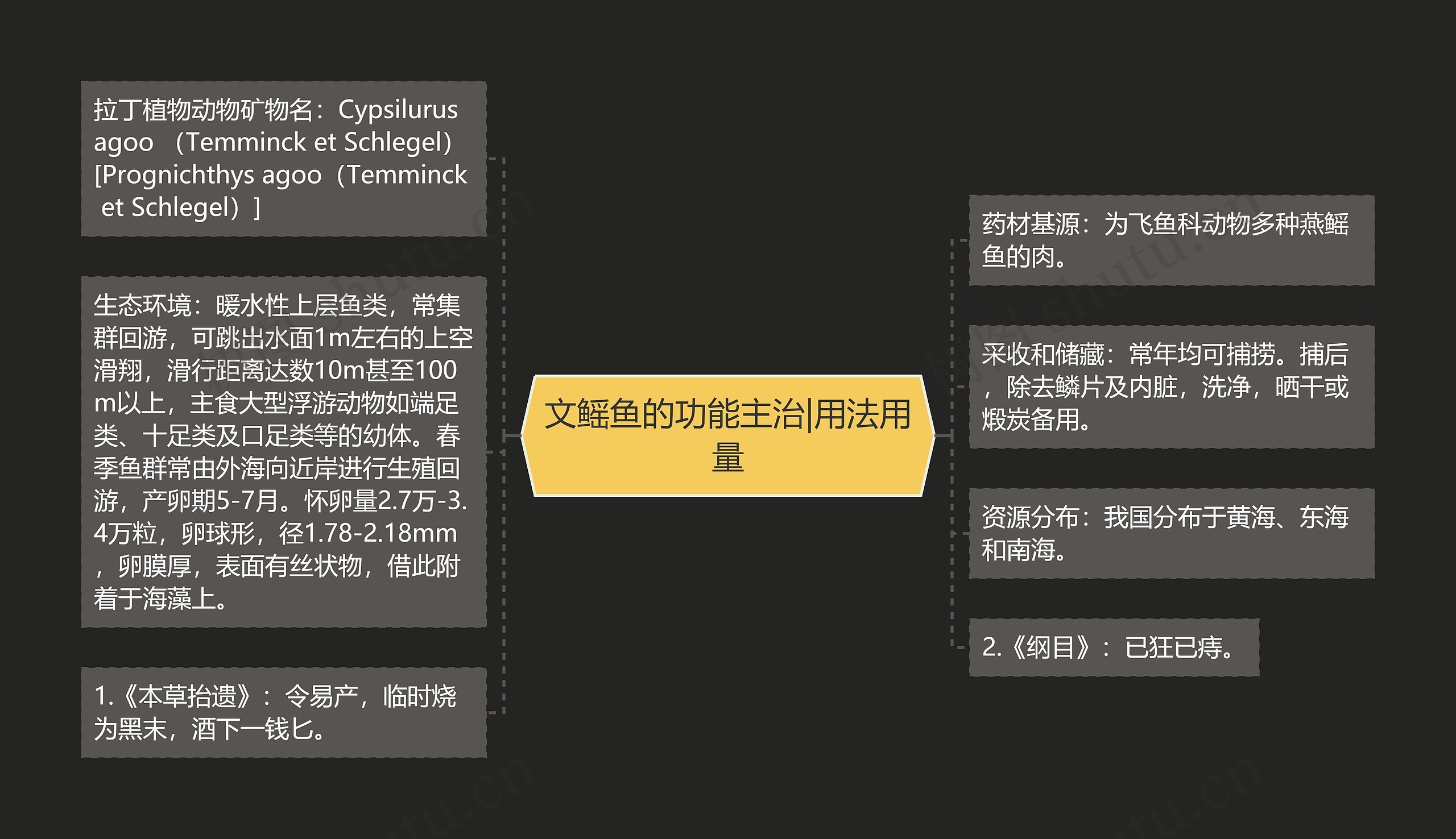 文鳐鱼的功能主治|用法用量思维导图