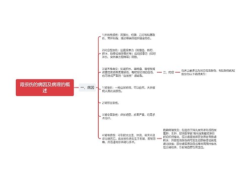 肾损伤的病因及病理的概述