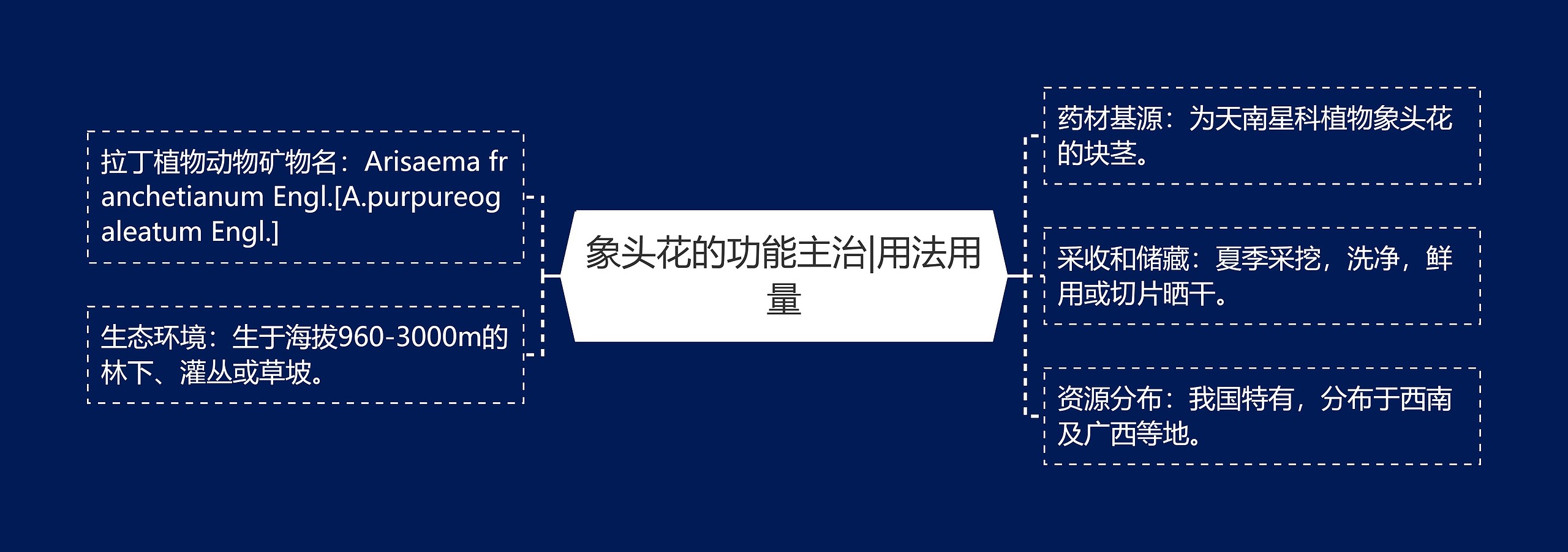 象头花的功能主治|用法用量