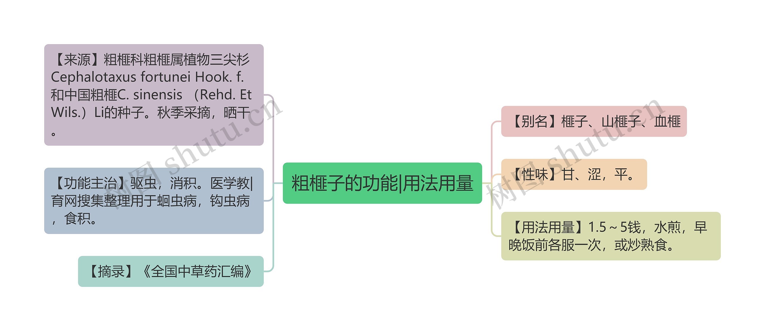 粗榧子的功能|用法用量