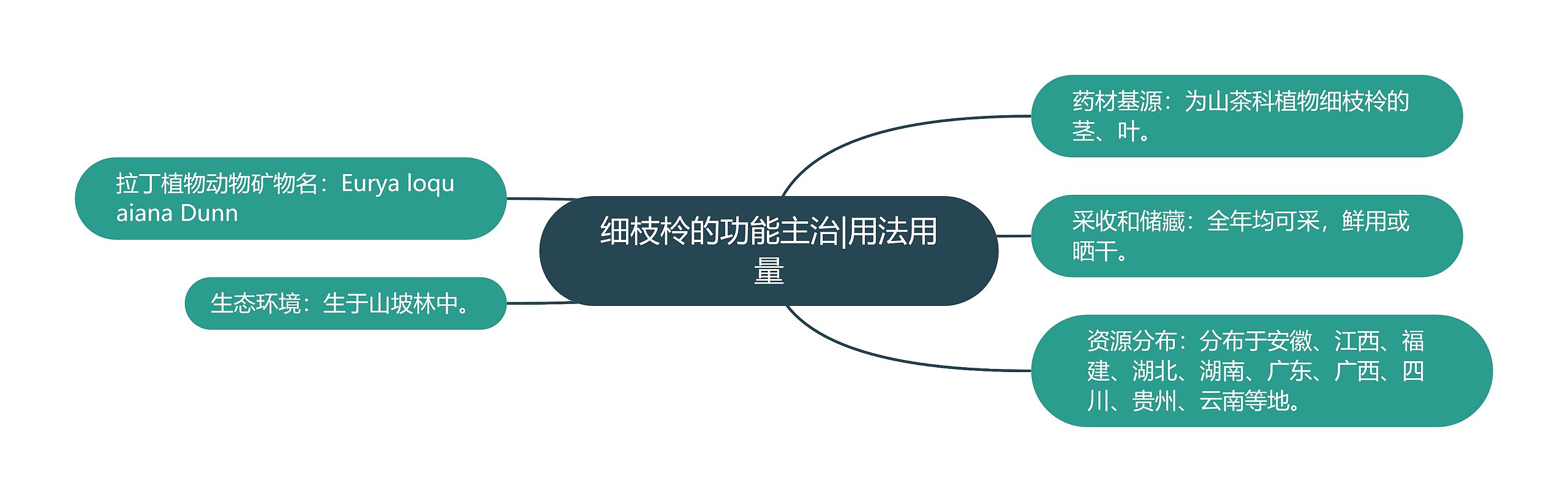 细枝柃的功能主治|用法用量 细枝柃的功能主治|用法用量