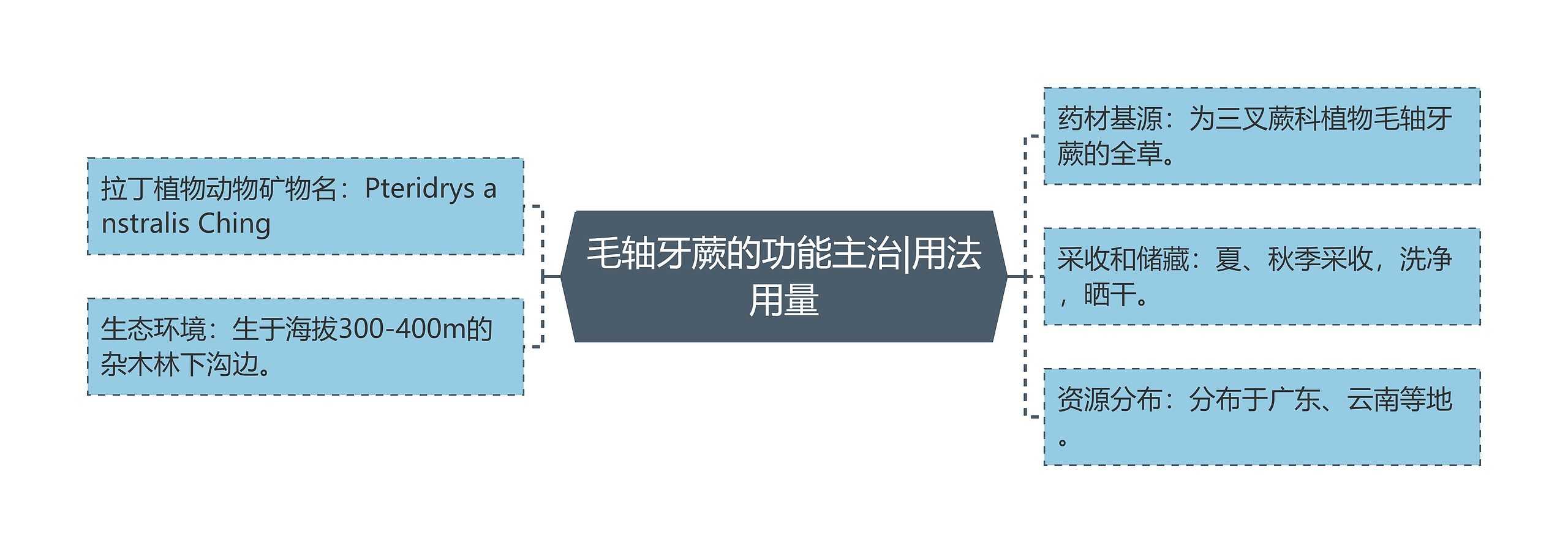毛轴牙蕨的功能主治|用法用量