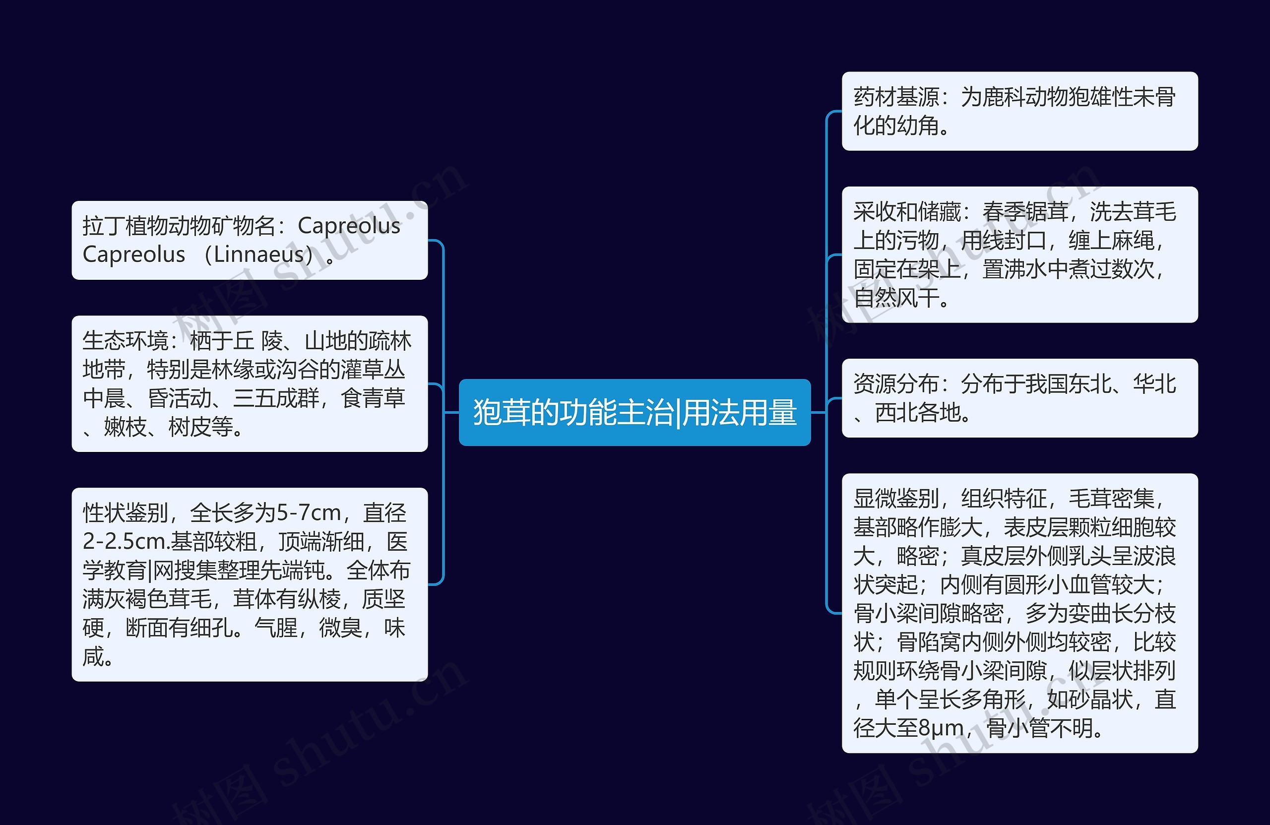 狍茸的功能主治|用法用量思维导图