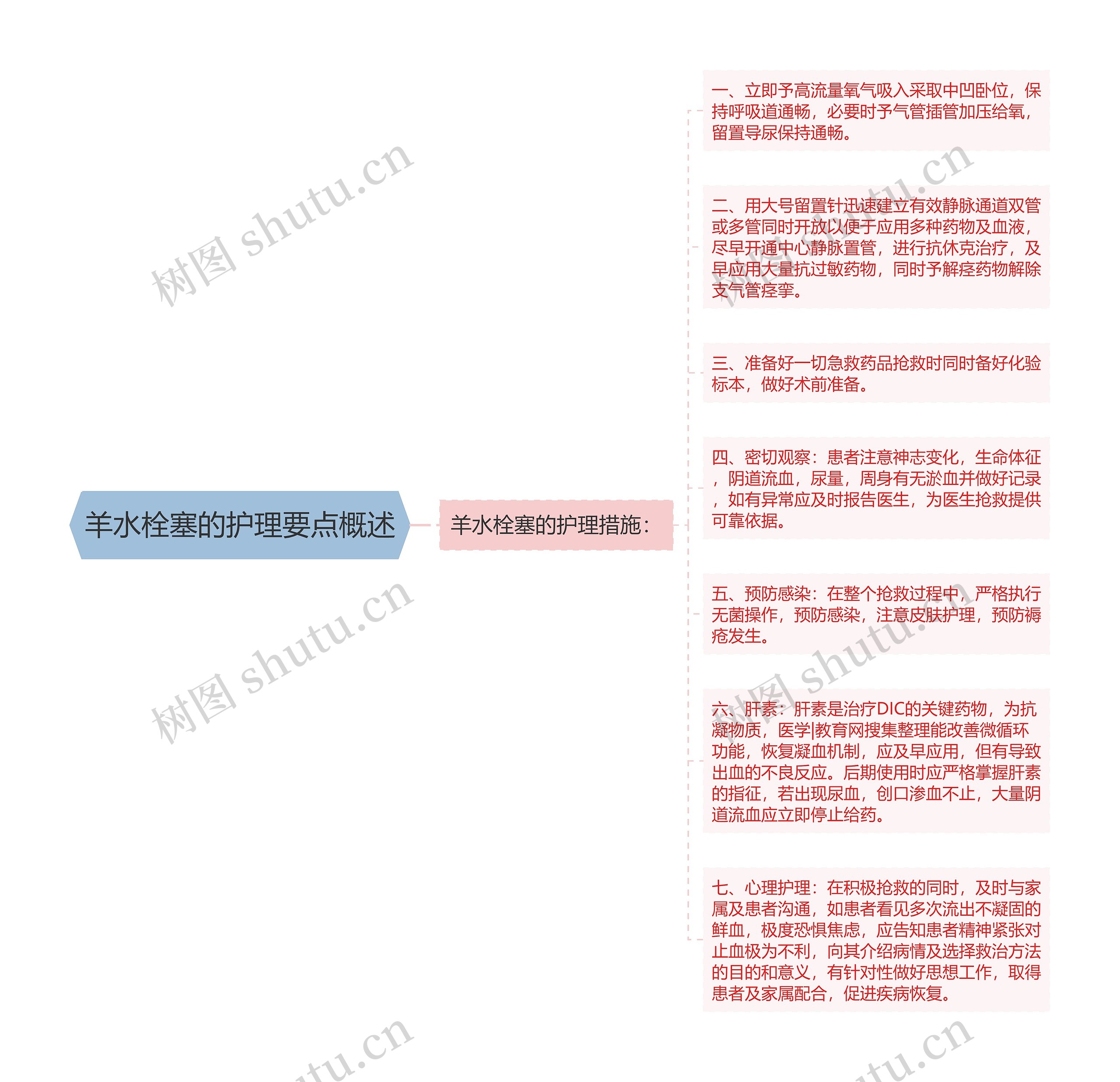 羊水栓塞的护理要点概述