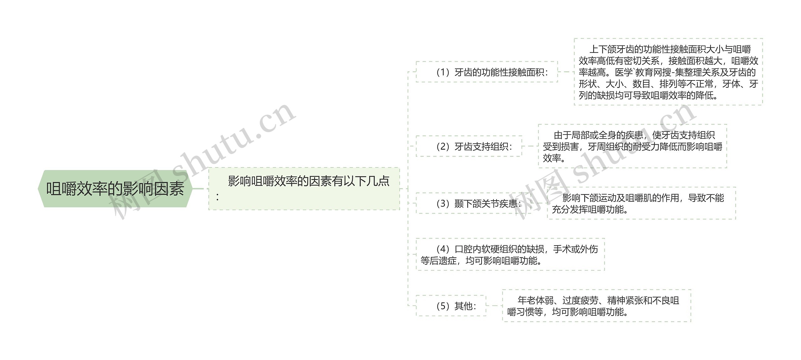 咀嚼效率的影响因素 咀嚼效率的影响因素