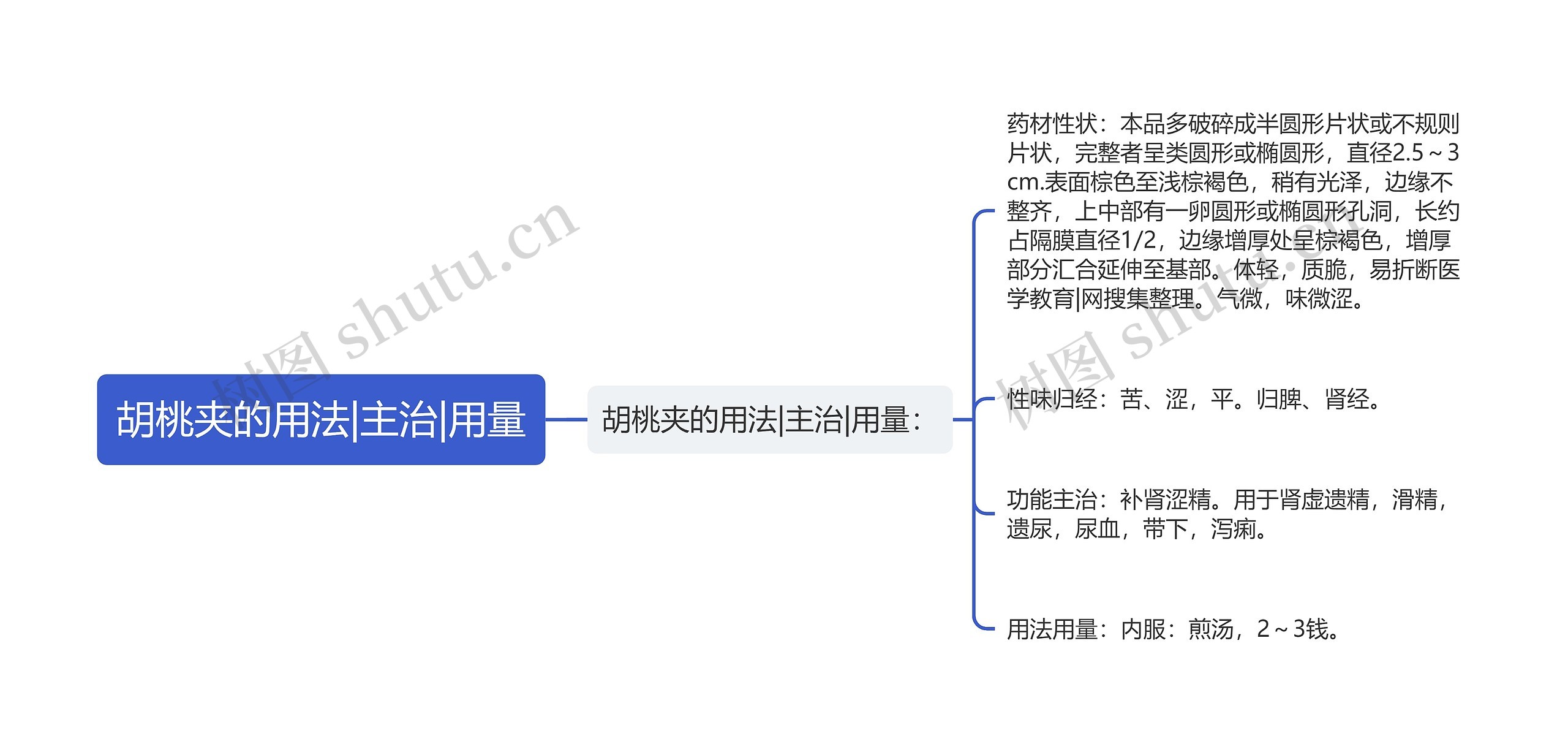 胡桃夹的用法|主治|用量思维导图