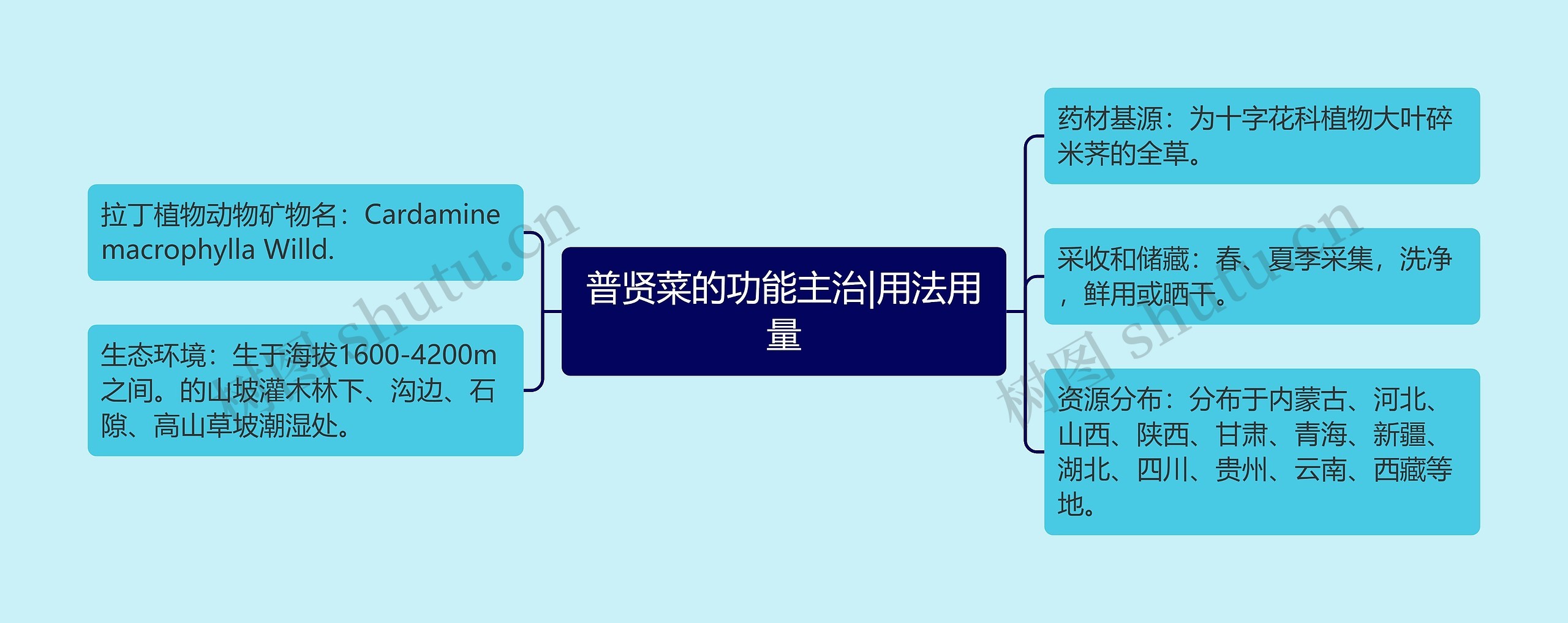 普贤菜的功能主治|用法用量思维导图