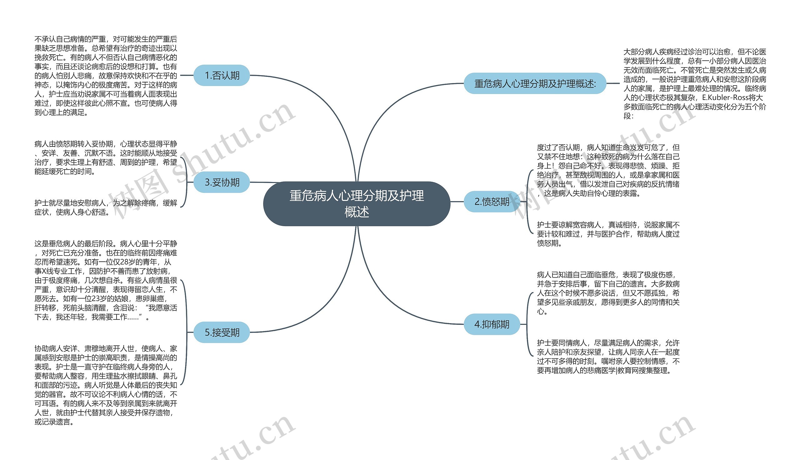 重危病人心理分期及护理概述思维导图