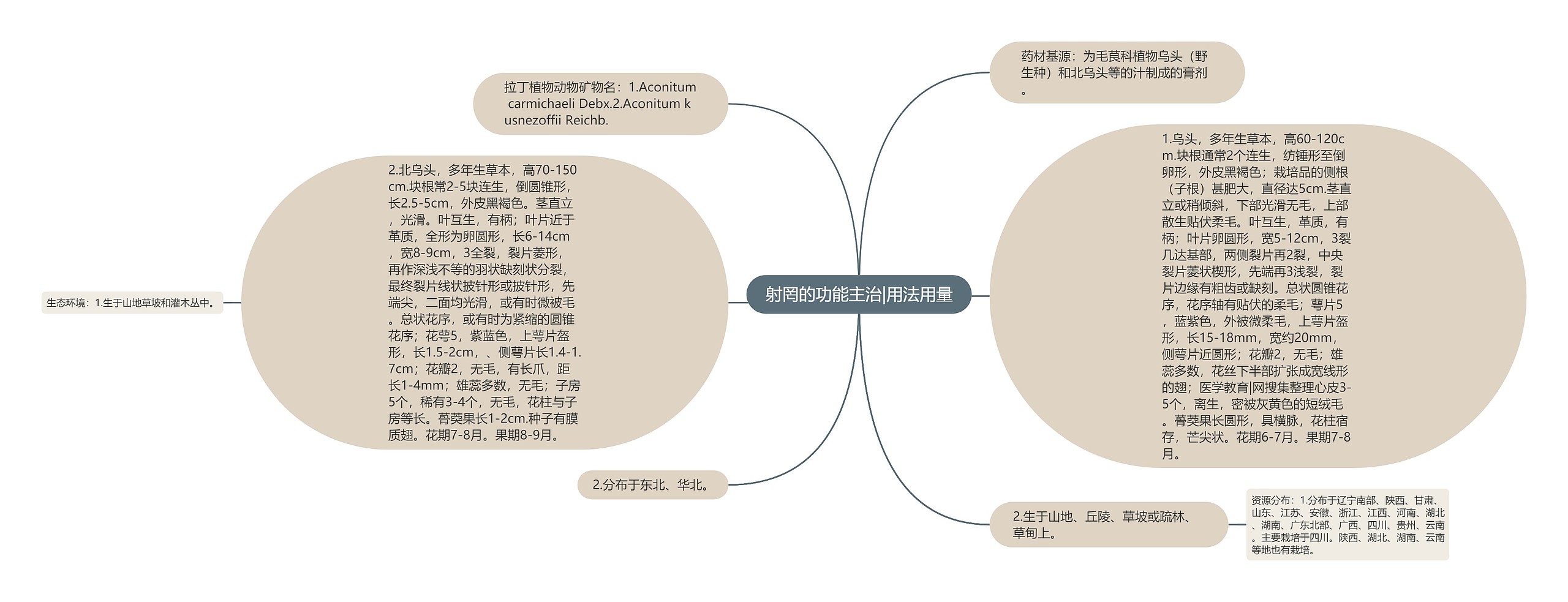 射罔的功能主治|用法用量