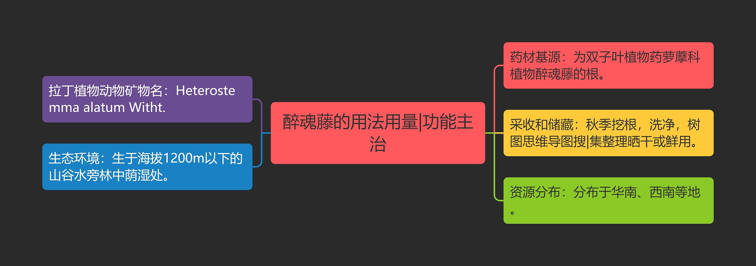 醉魂藤的用法用量|功能主治 醉魂藤的用法用量|功能主治