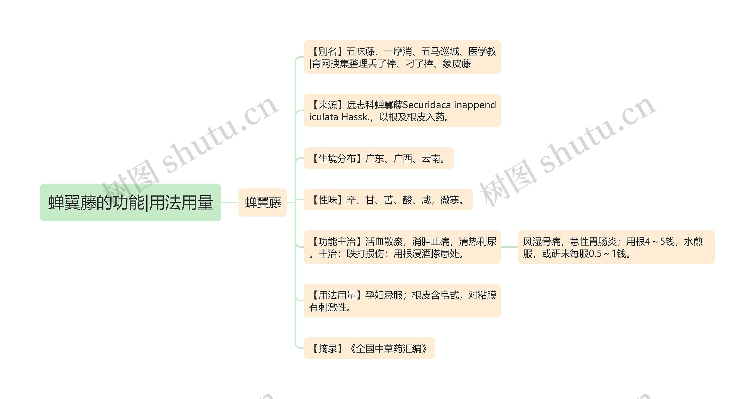 蝉翼藤的功能|用法用量