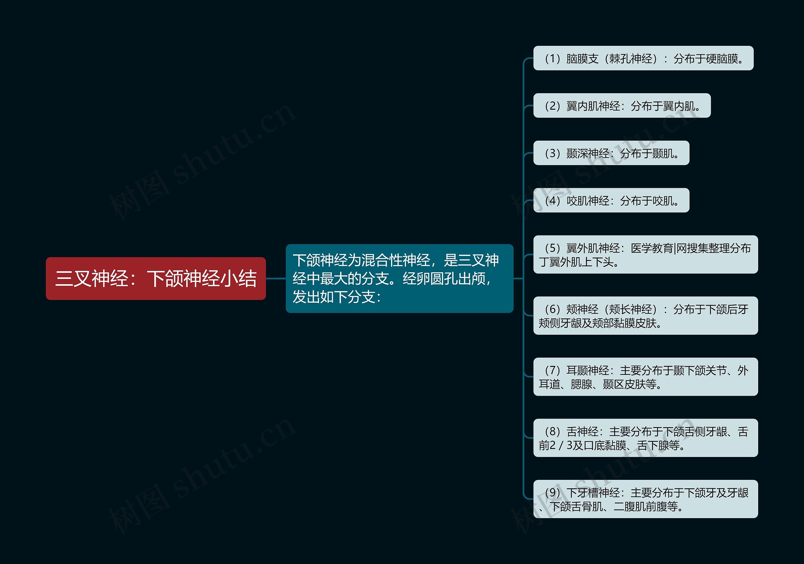 三叉神经：下颌神经小结