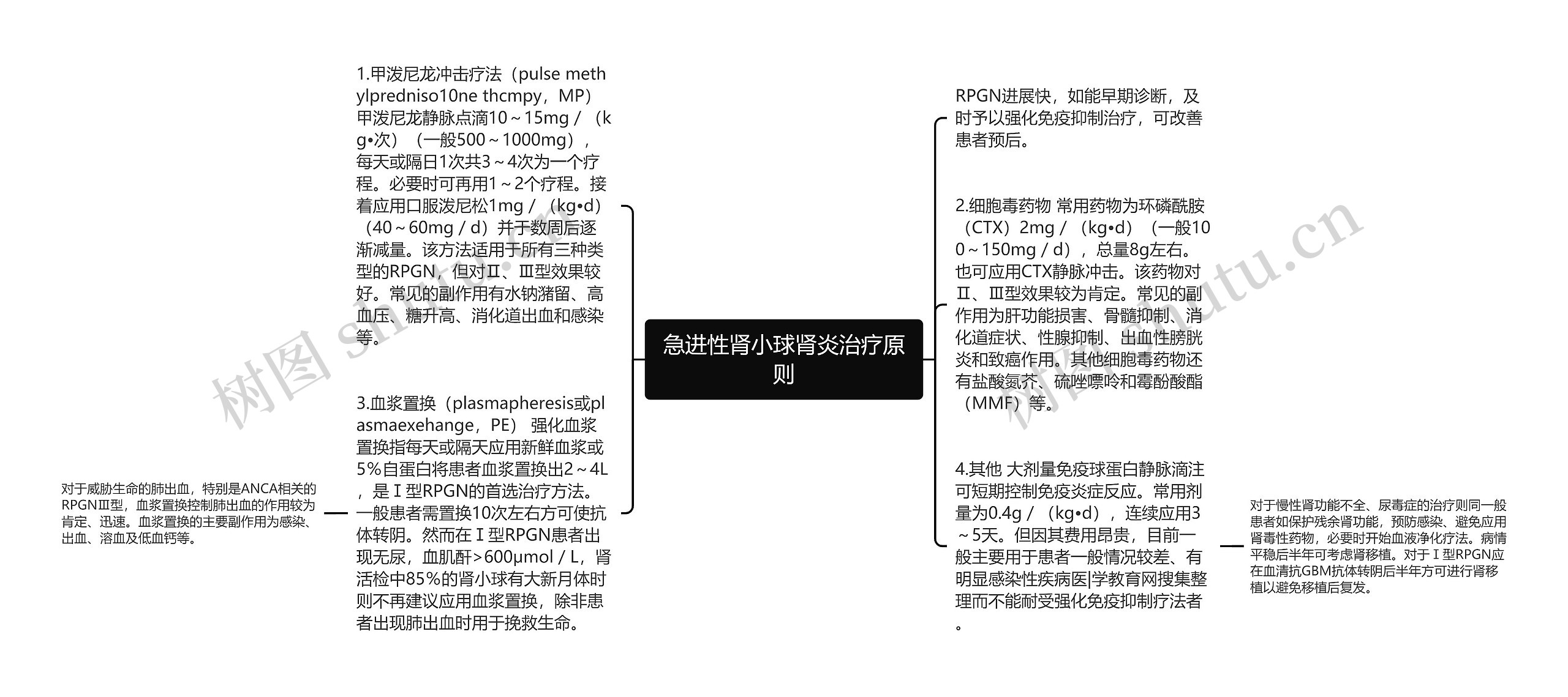 急进性肾小球肾炎治疗原则