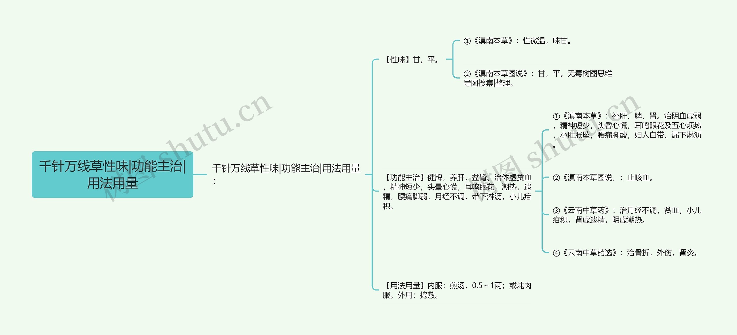 千针万线草性味|功能主治|用法用量思维导图